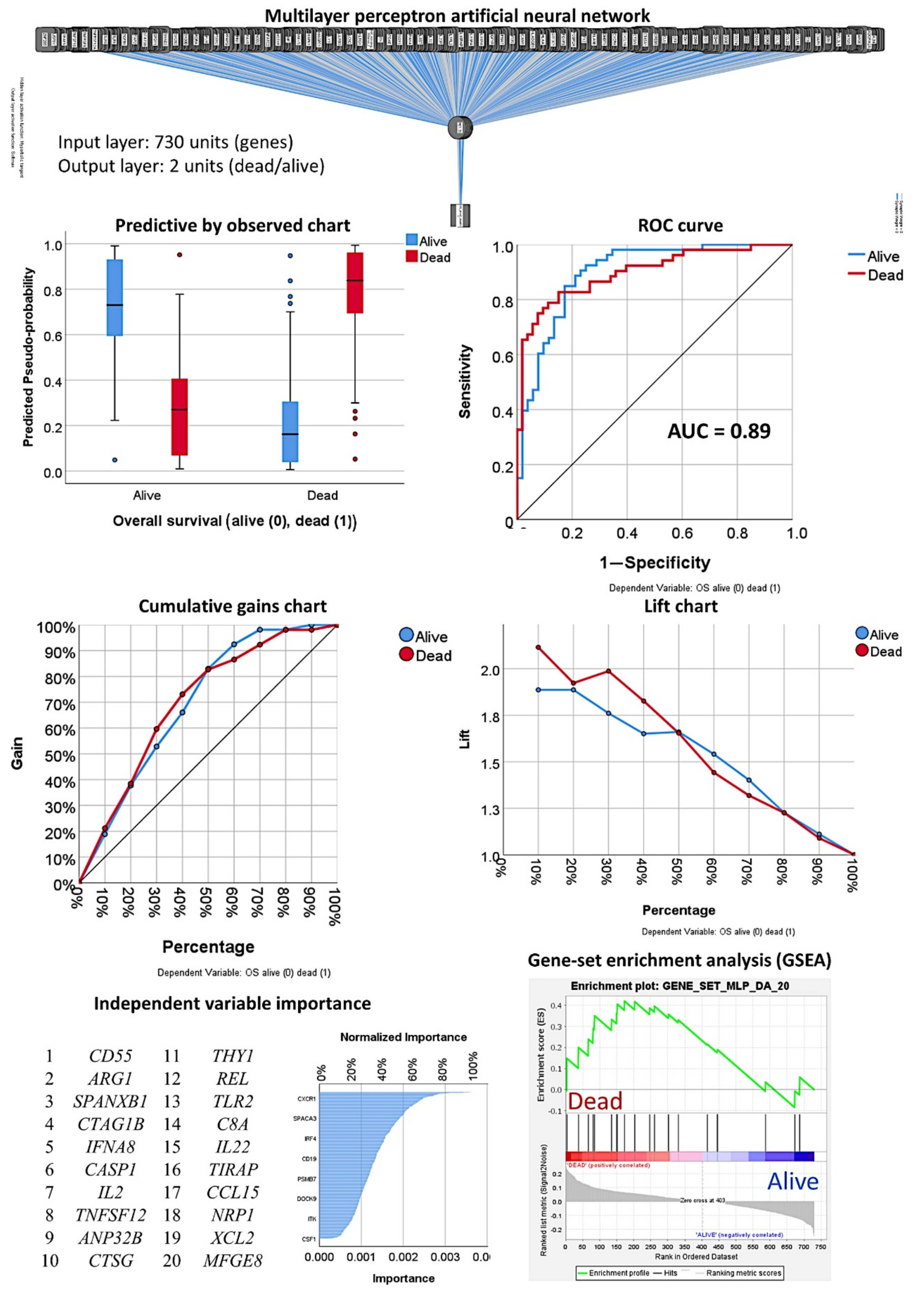 Cancers 13 06384 g007 550
