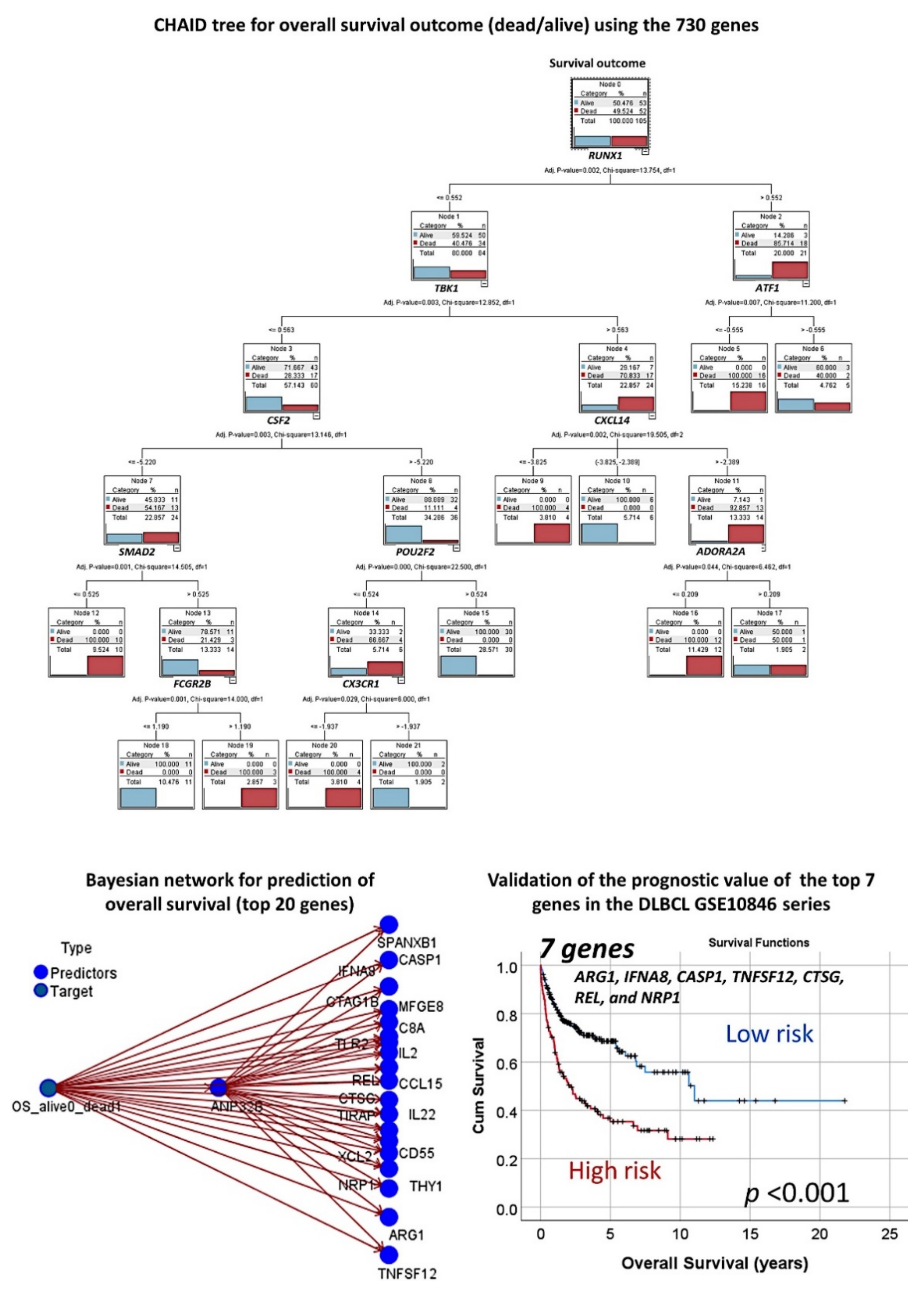 Cancers 13 06384 g011 550