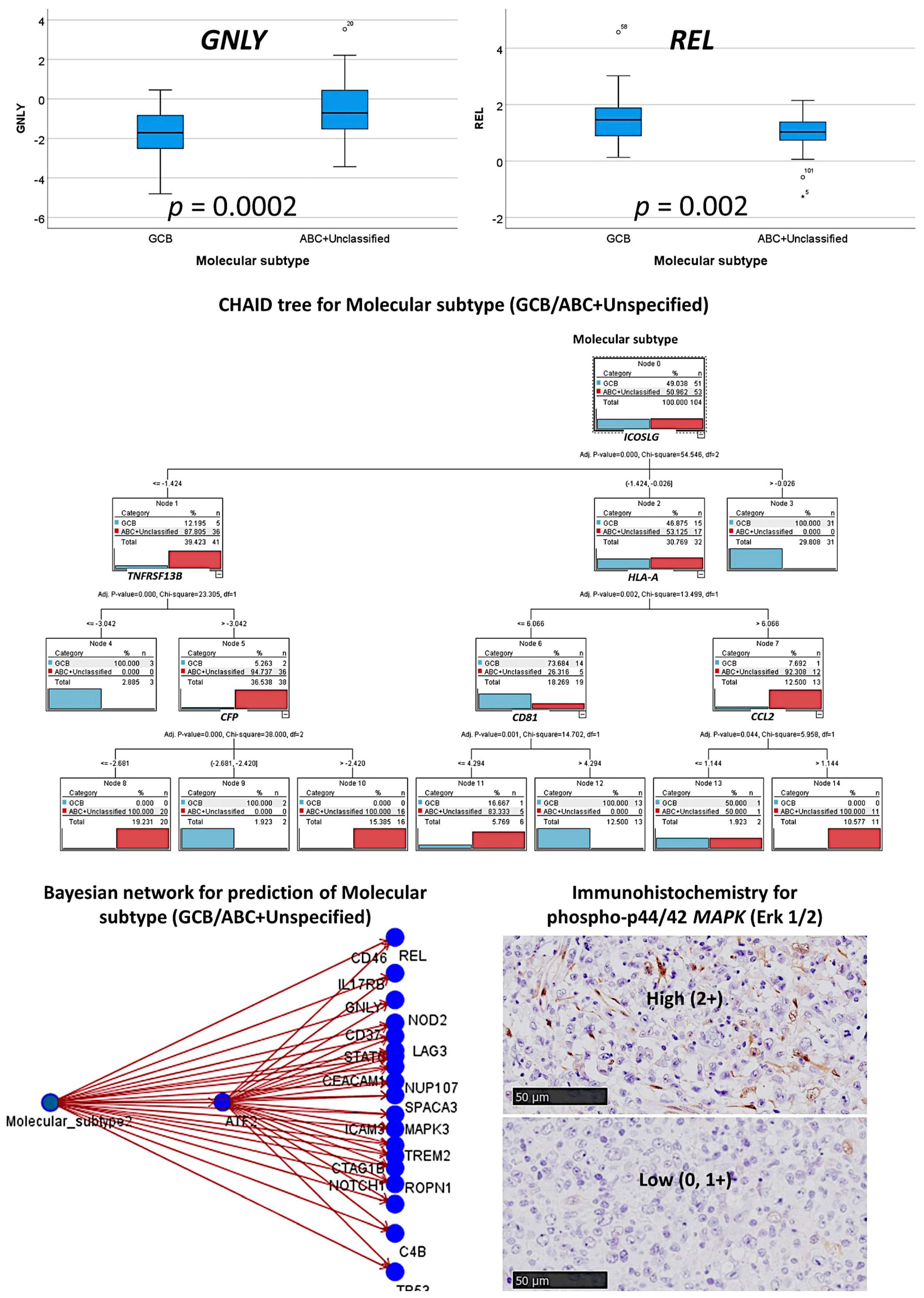 Cancers 13 06384 g014 550