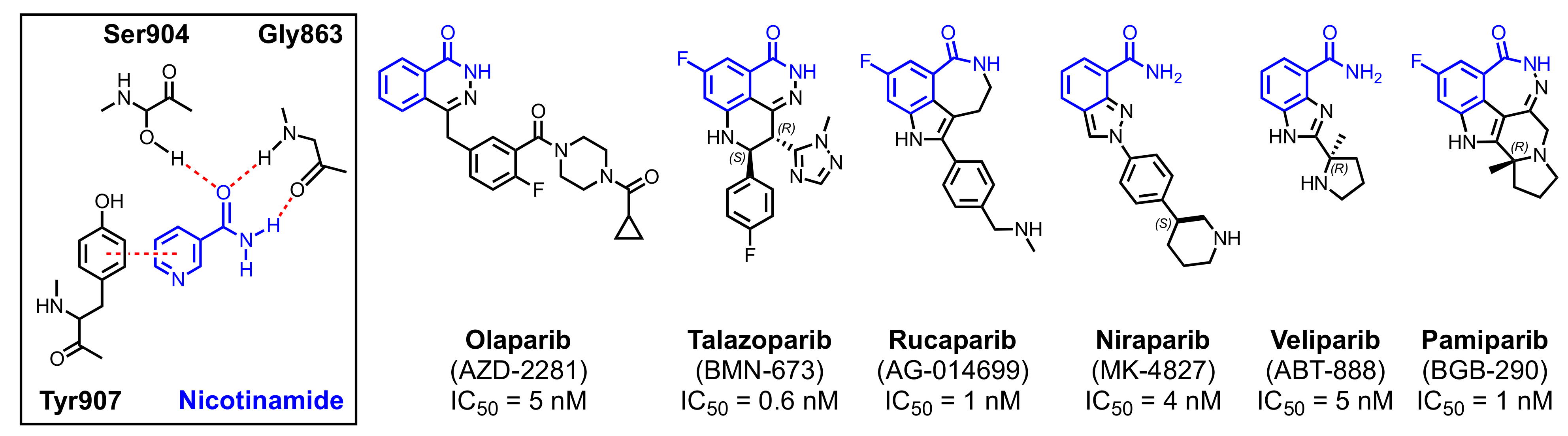 Cancers 13 06385 g003