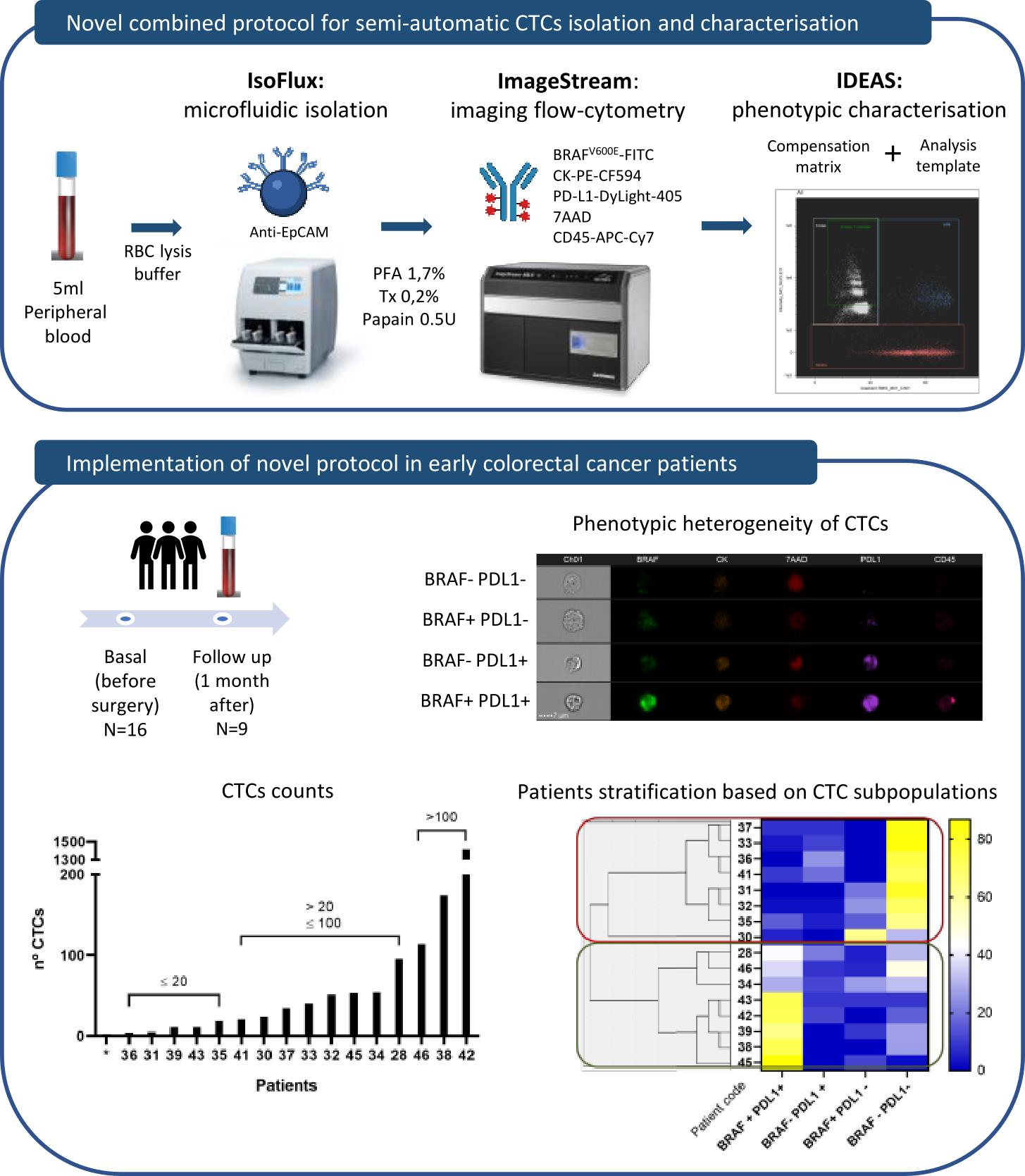 Cancers | Free Full-Text | Deep Phenotypic Characterisation of CTCs by ...