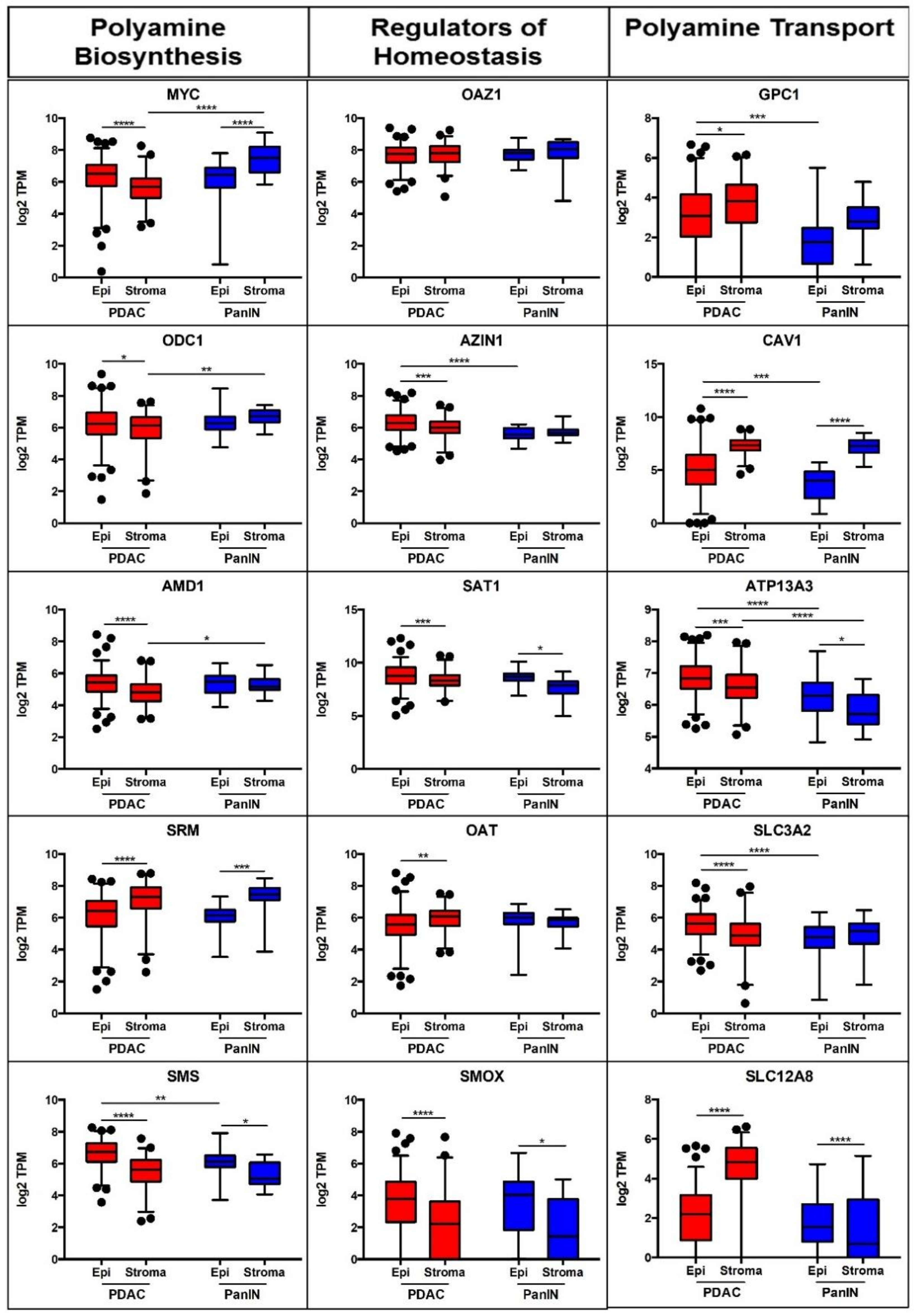 Cancers 13 06391 g001 Cancers 13 06391 g001