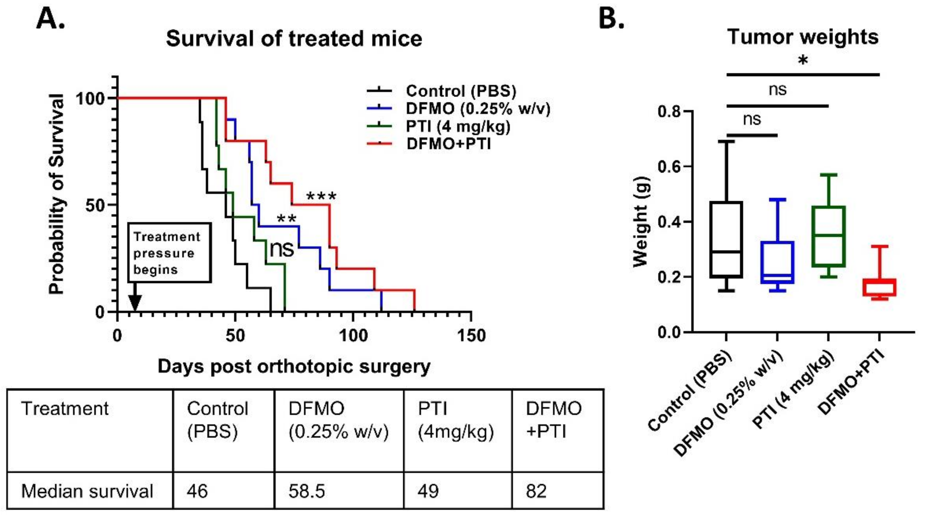 Cancers 13 06391 g004 Cancers 13 06391 g004