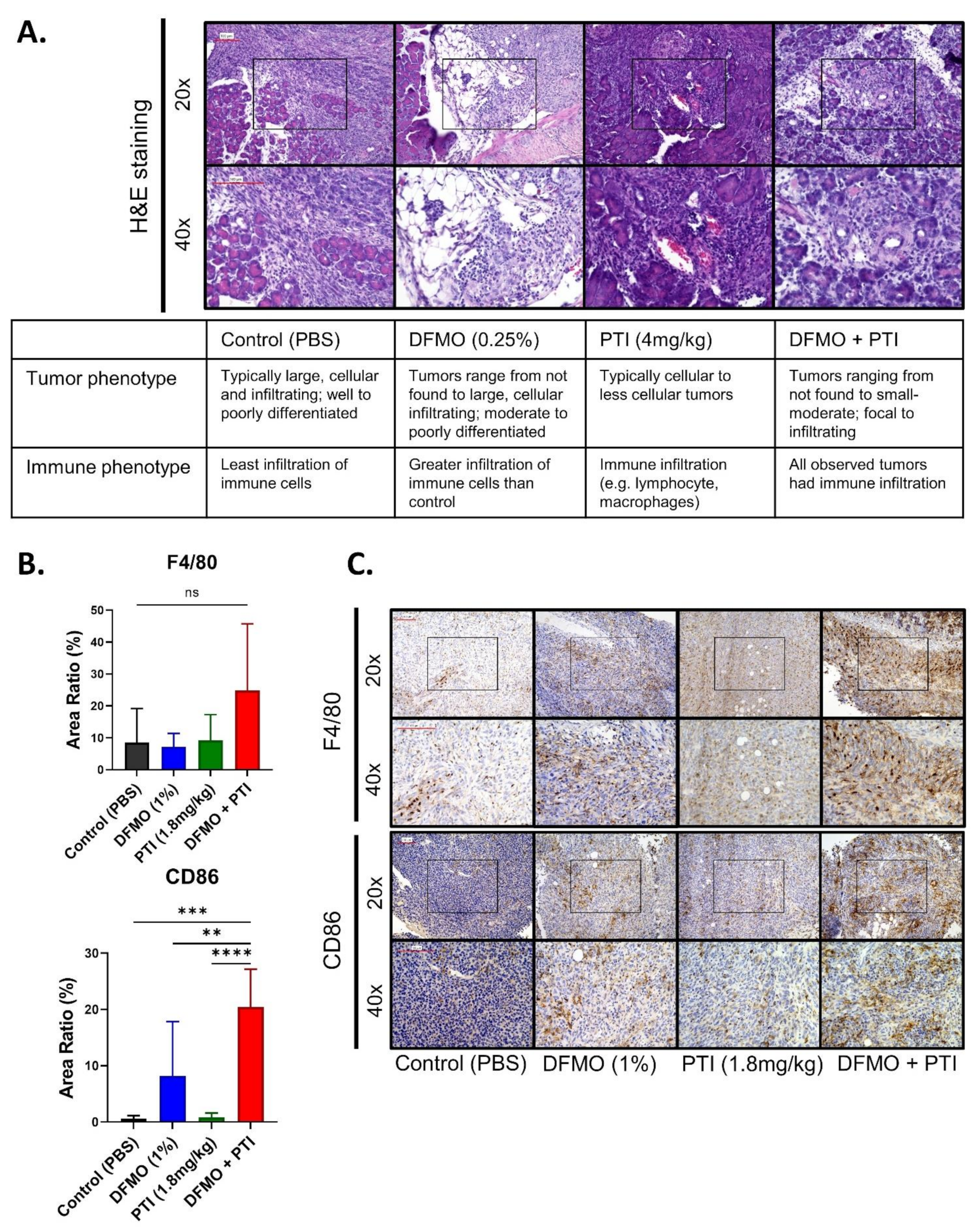Cancers 13 06391 g005 Cancers 13 06391 g005