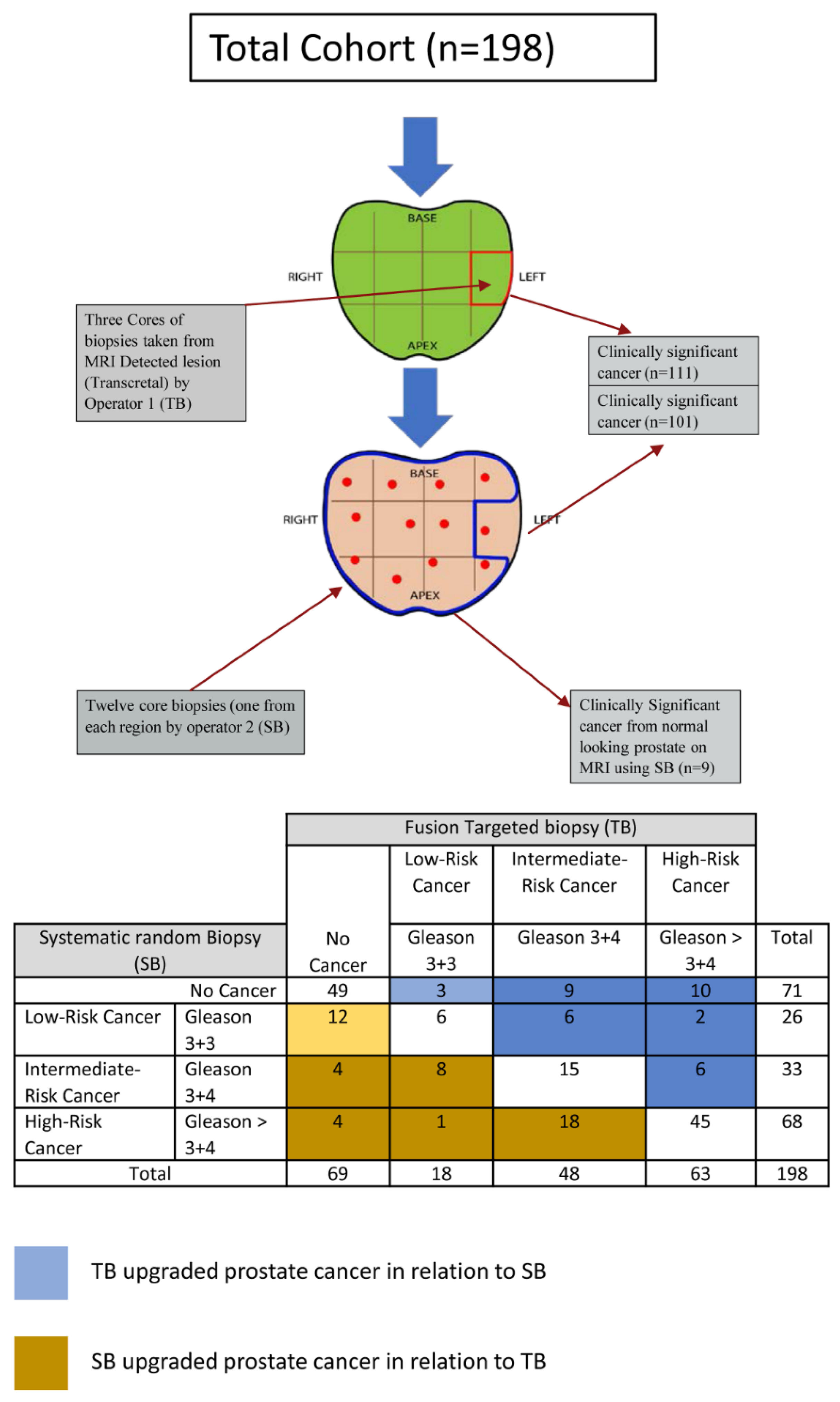 Cancers 14 00001 g002 550
