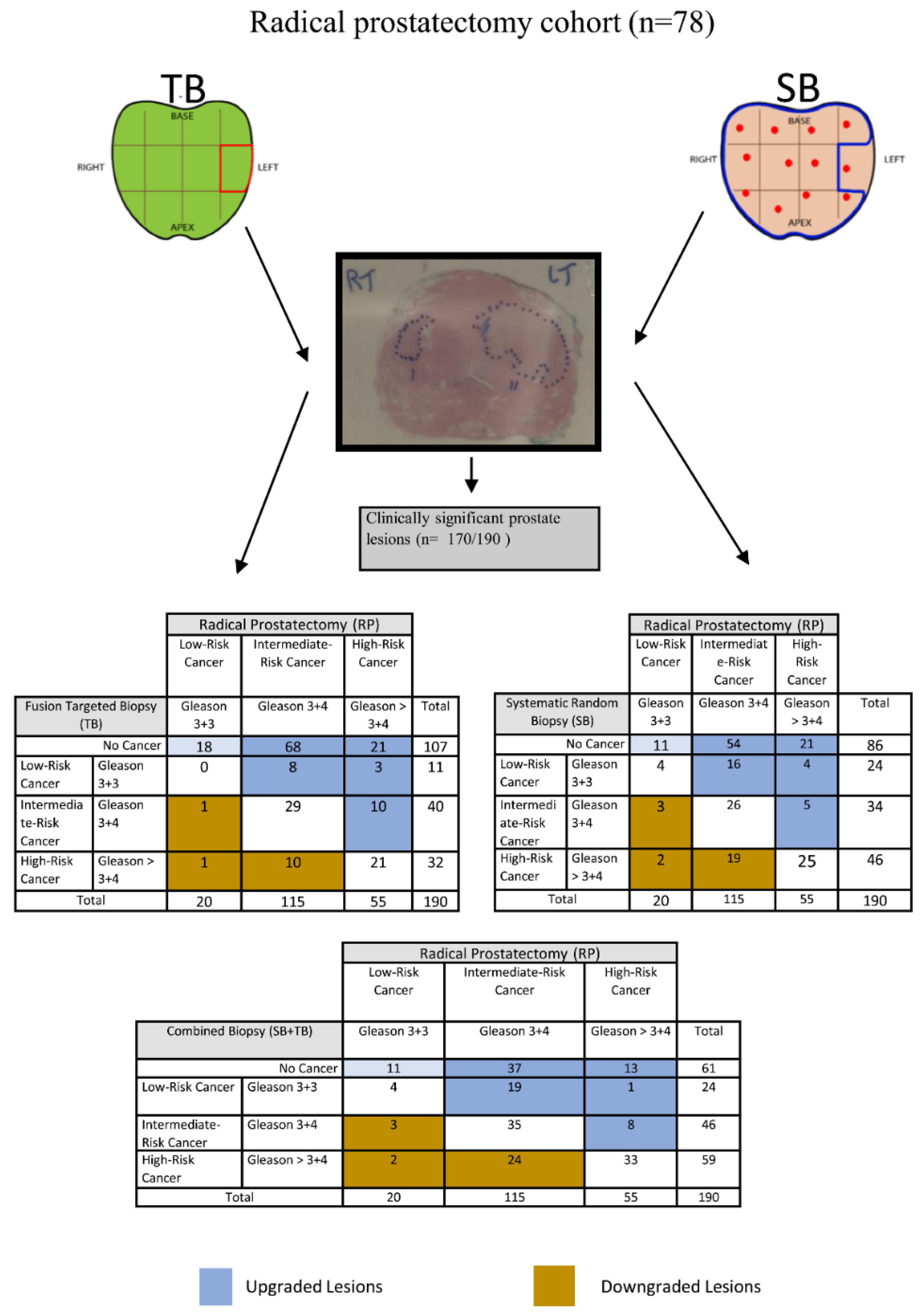 Cancers 14 00001 g003 550