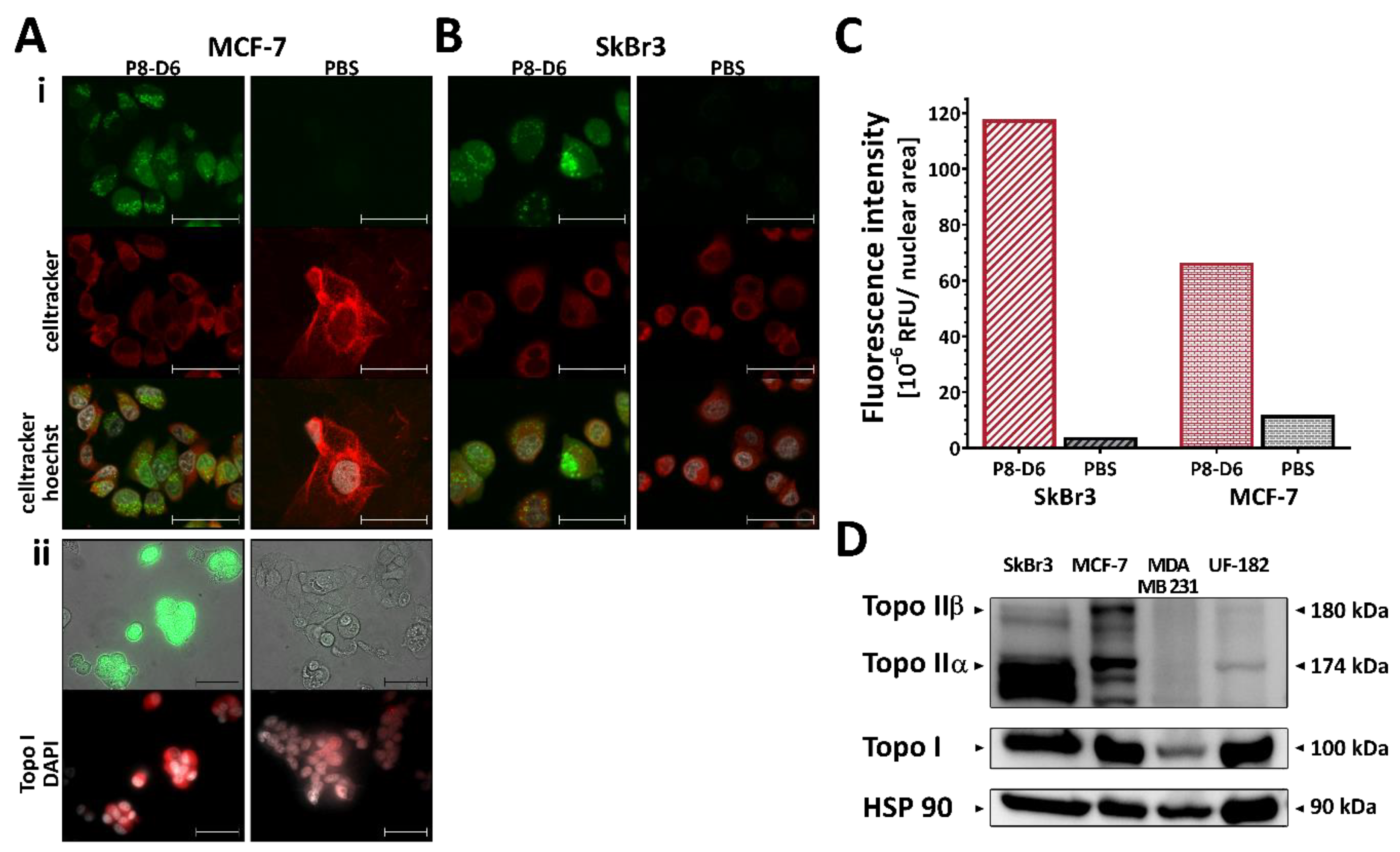 Cancers 14 00002 g002 550
