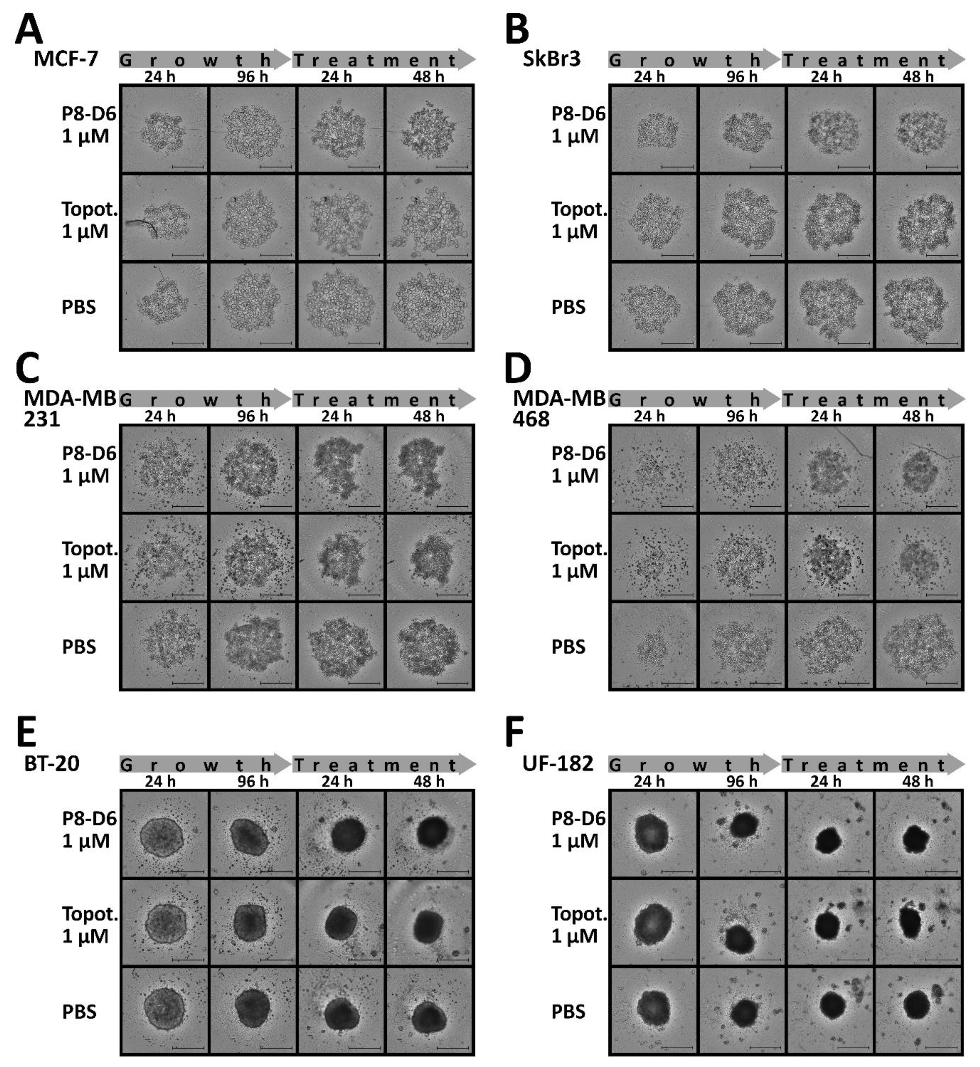 Cancers 14 00002 g004 550