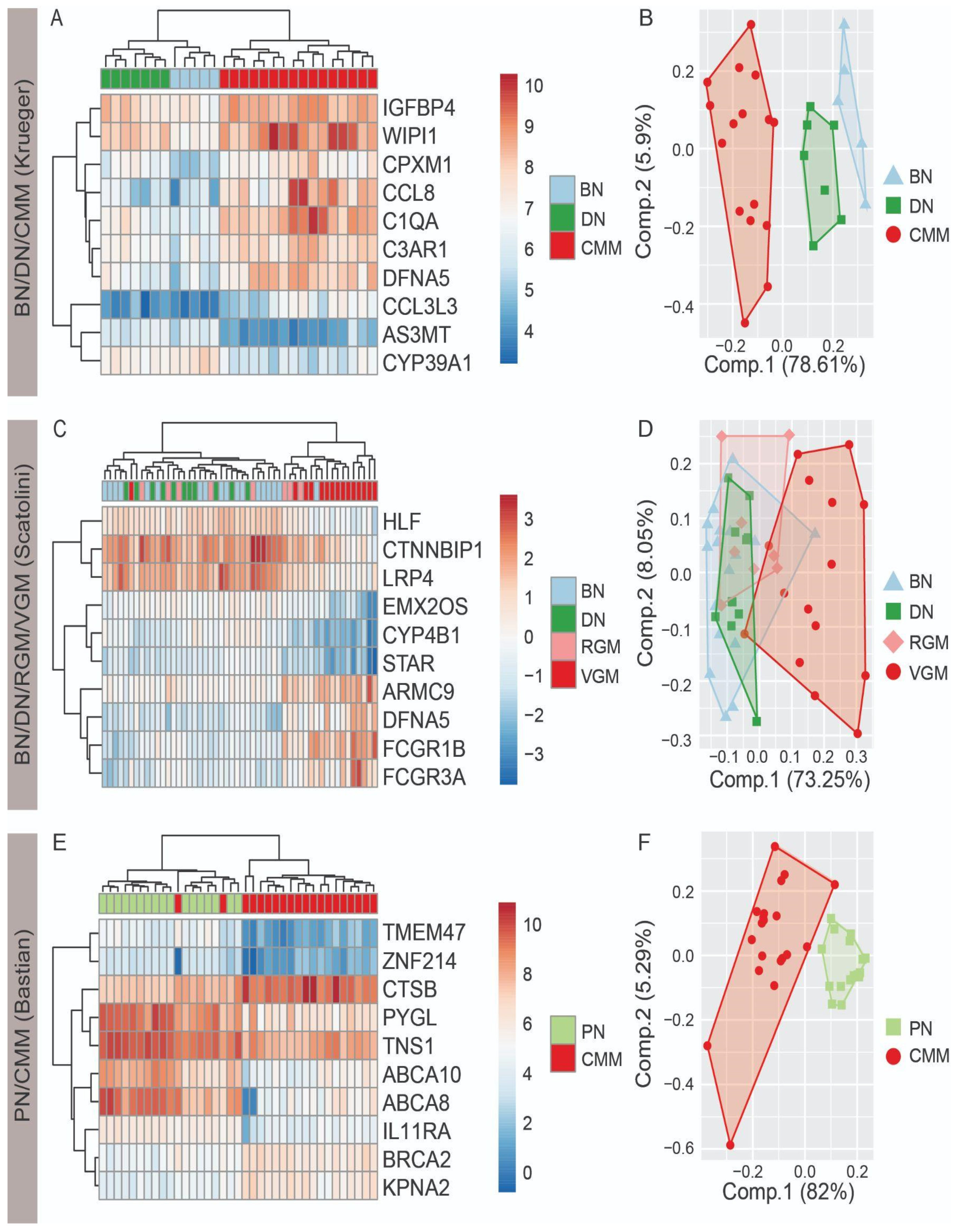 Cancers 14 00003 g001 Cancers 14 00003 g001