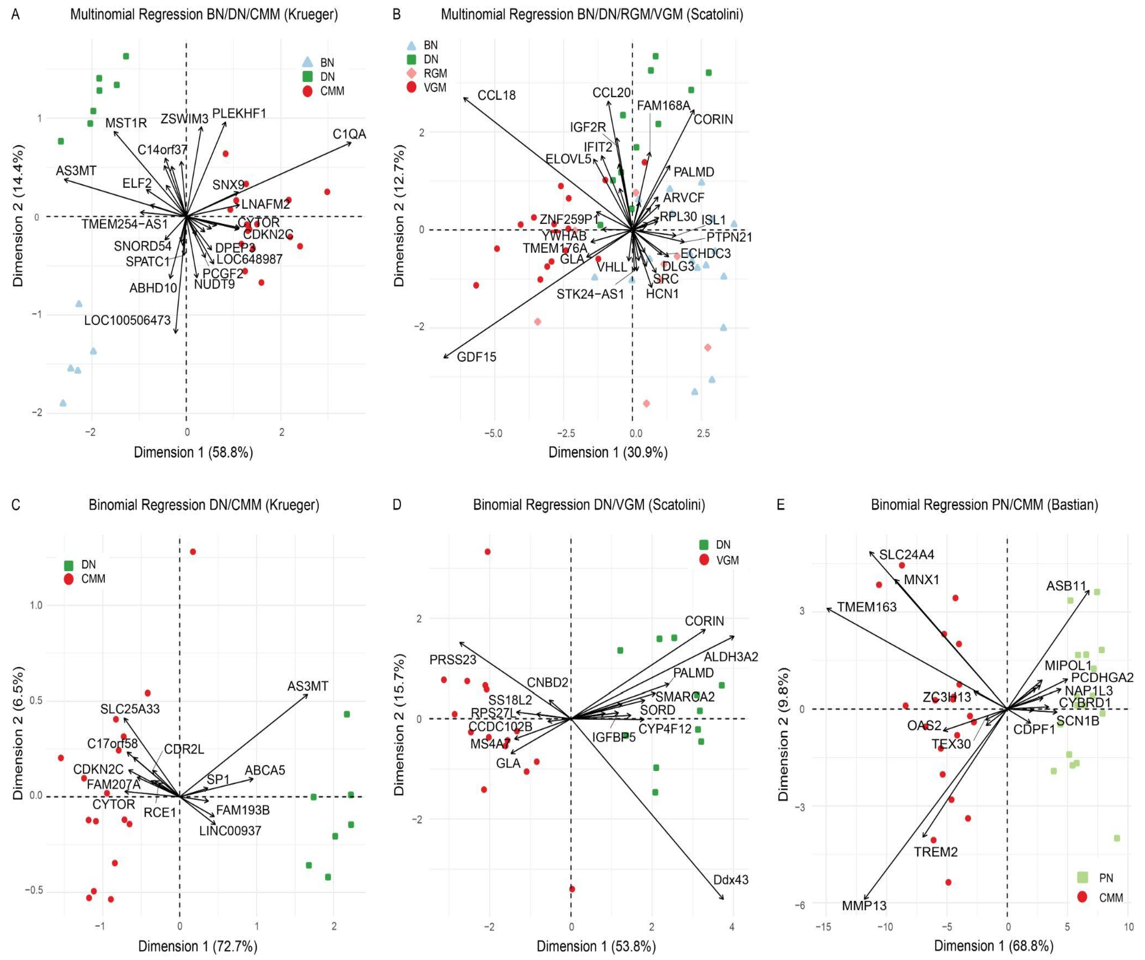 Cancers 14 00003 g002 Cancers 14 00003 g002