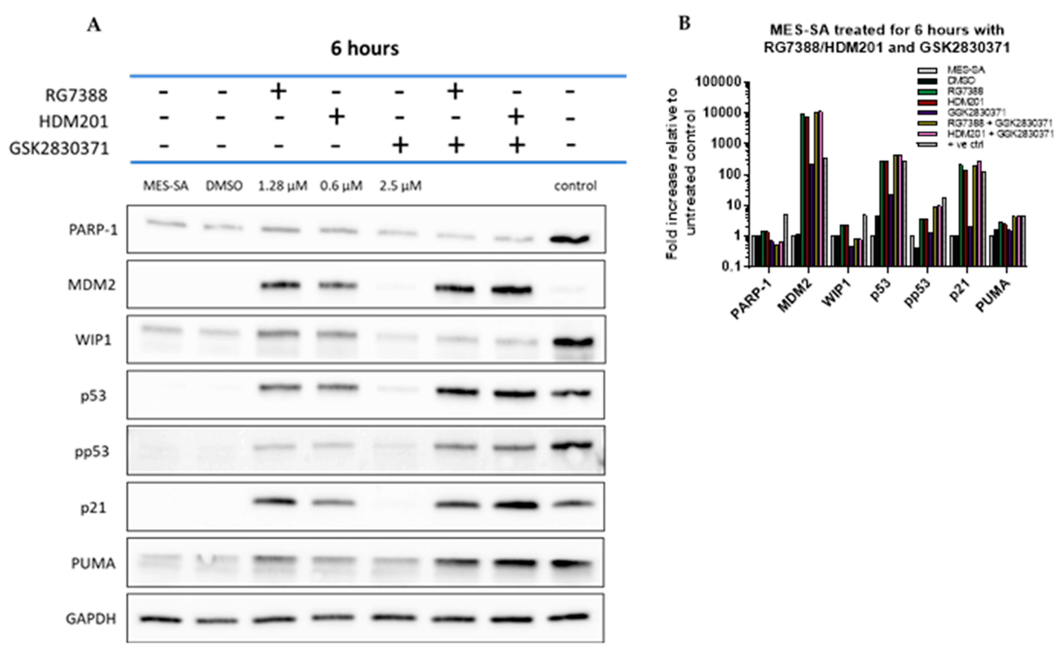 Cancers 14 00014 g004 Cancers 14 00014 g004