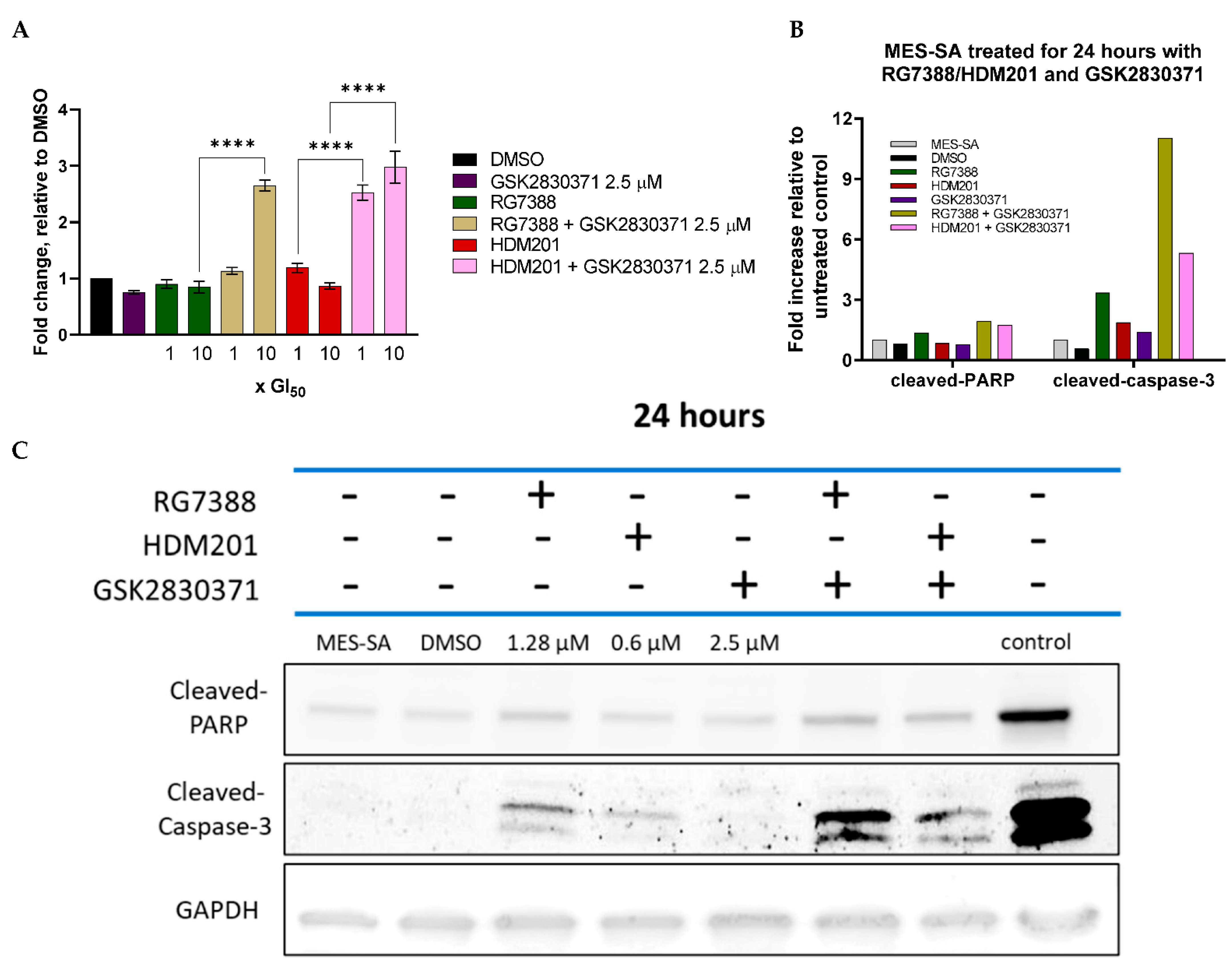 Cancers 14 00014 g008 Cancers 14 00014 g008