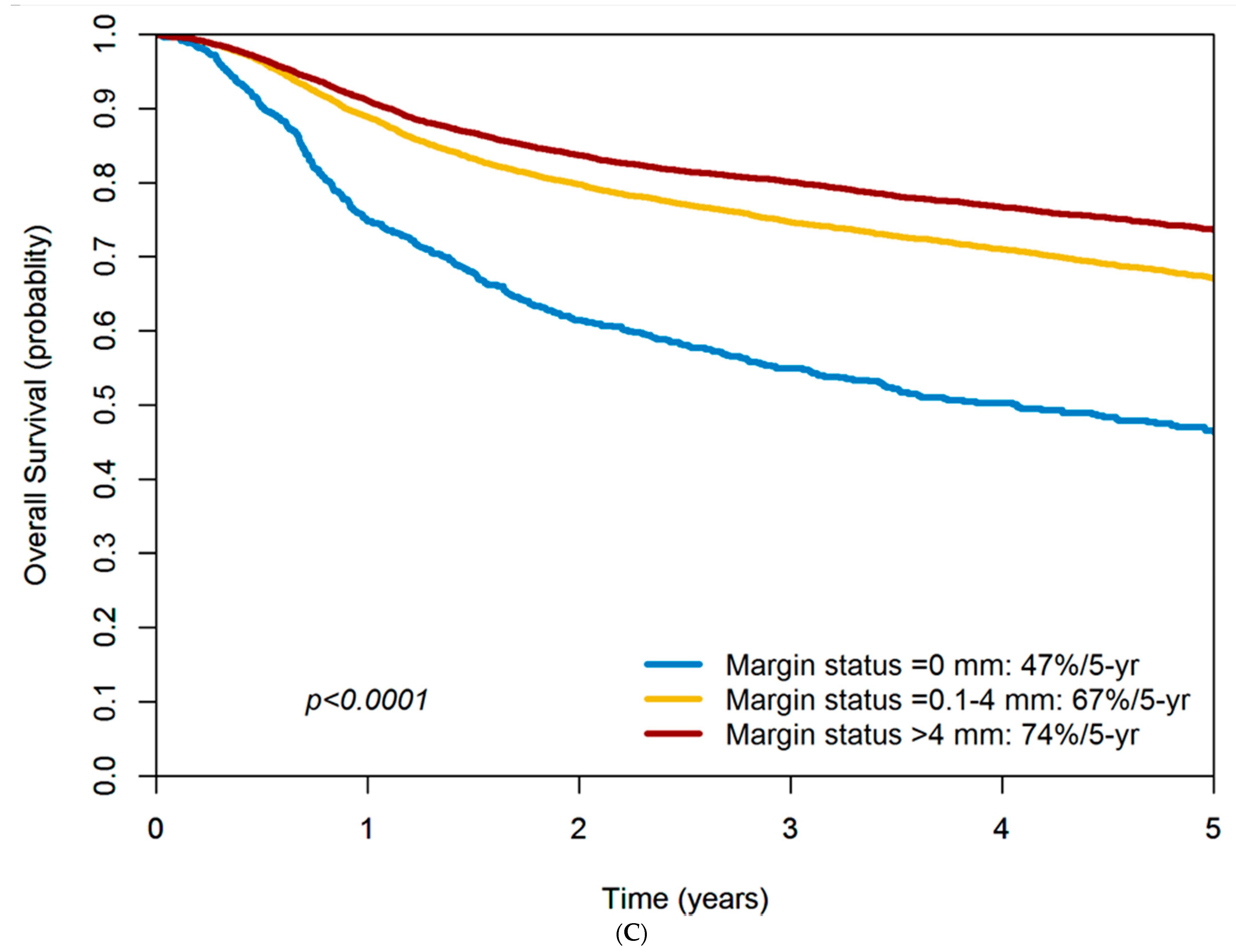 Cancers 14 00015 g002b