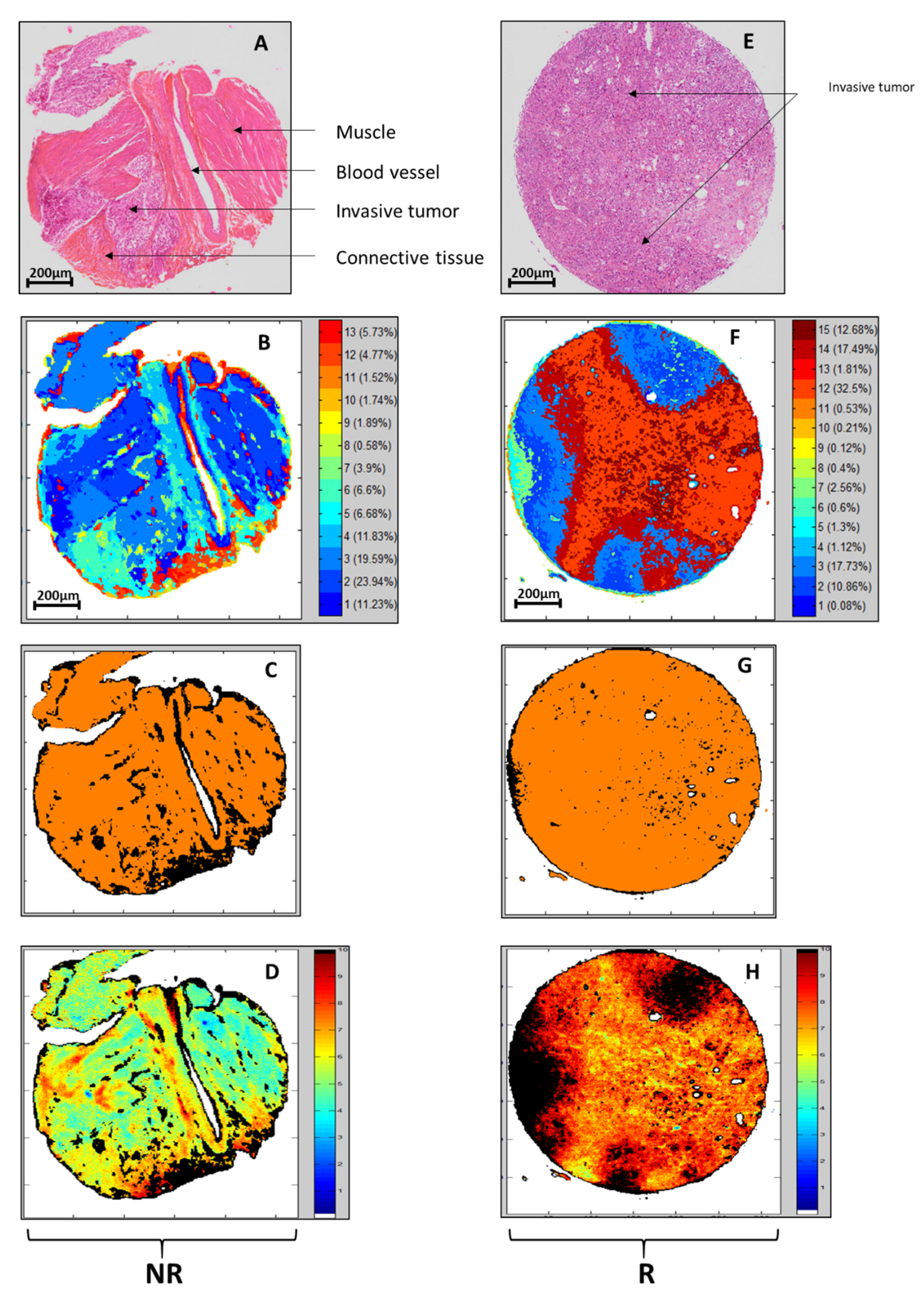 Cancers 14 00021 g001