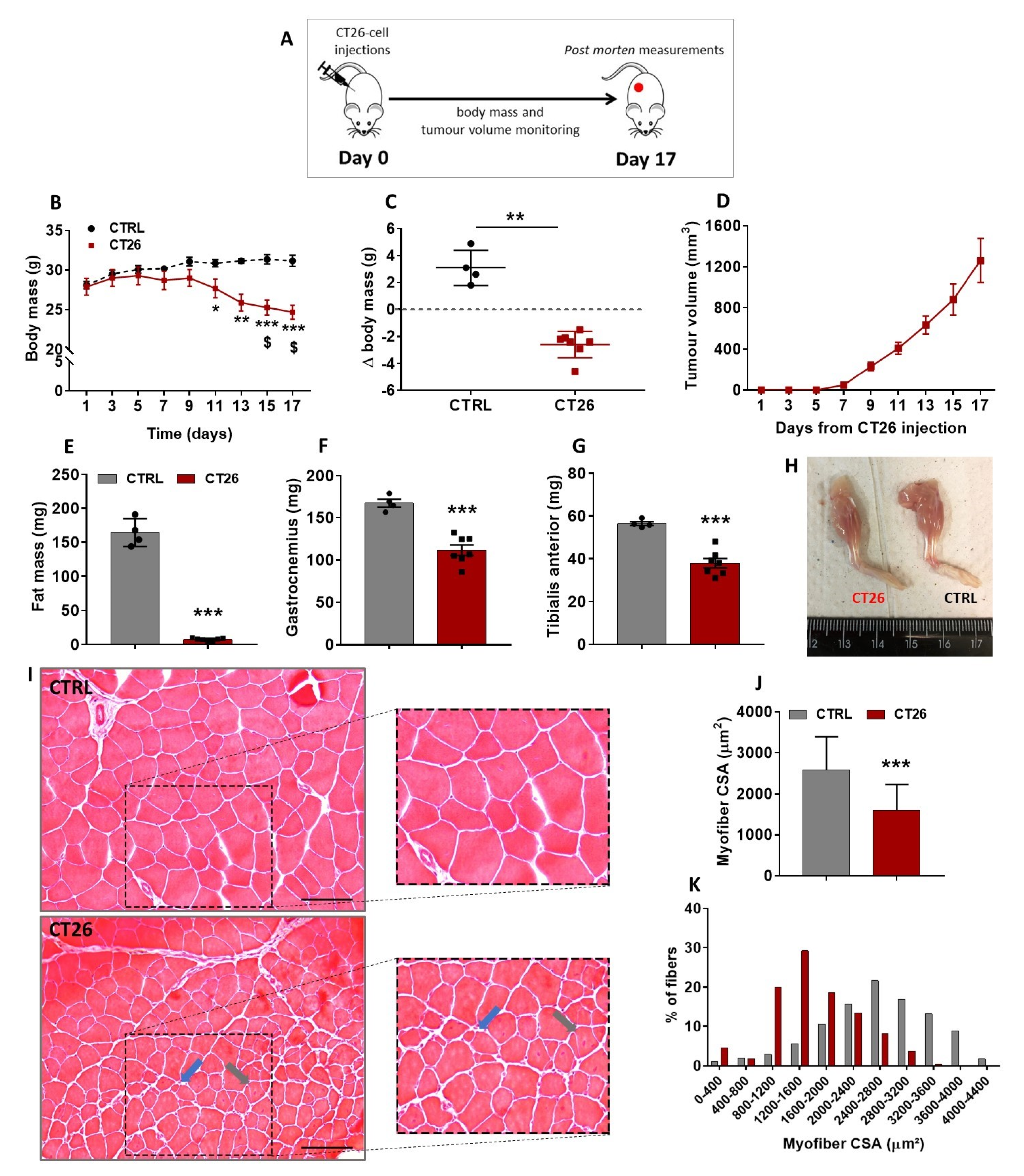 Cancers 14 00028 g001 550