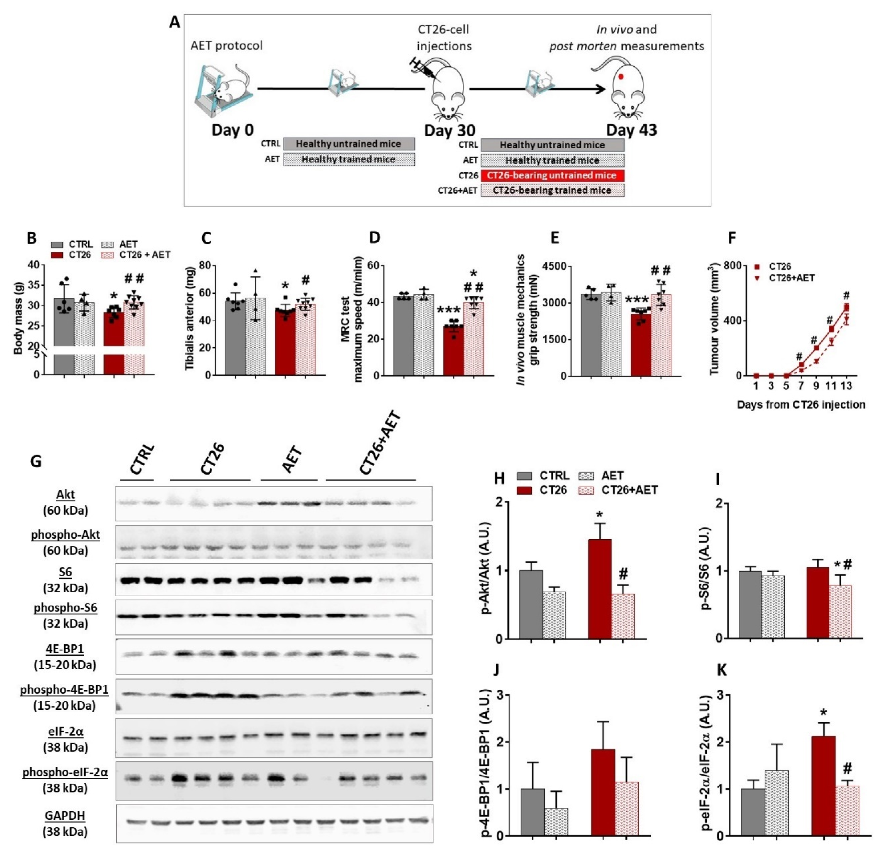 Cancers 14 00028 g002 550