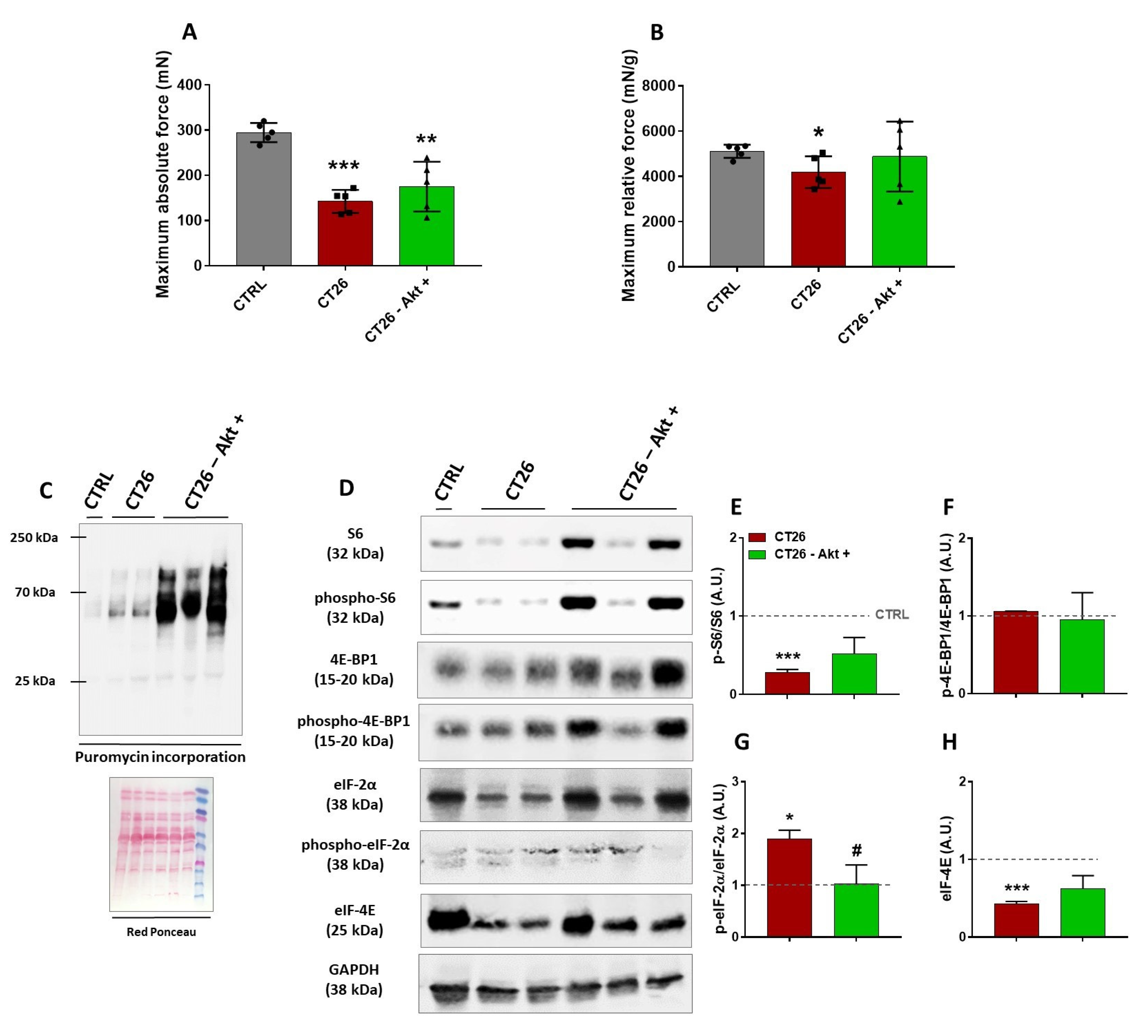 Cancers 14 00028 g004 550