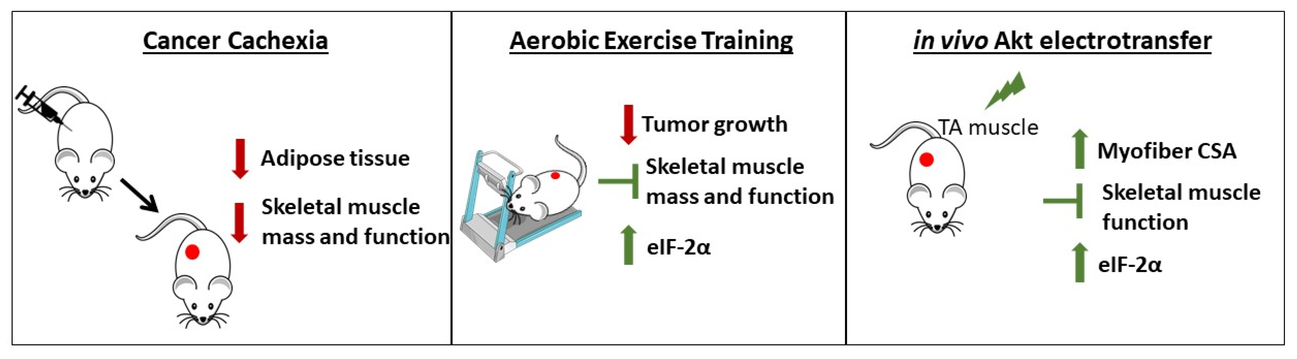 Cancers 14 00028 g005 550