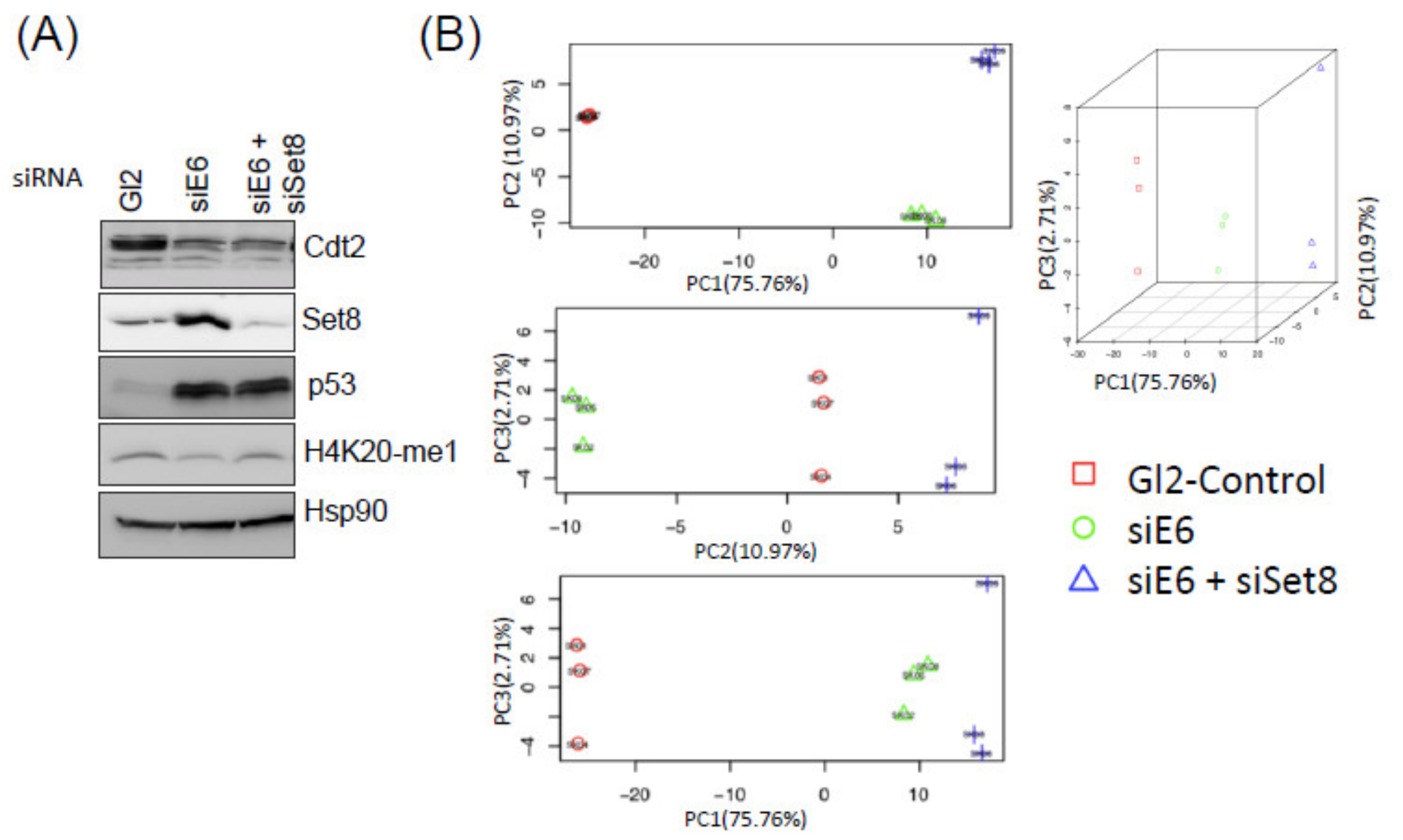 Cancers 14 00030 g002a 550
