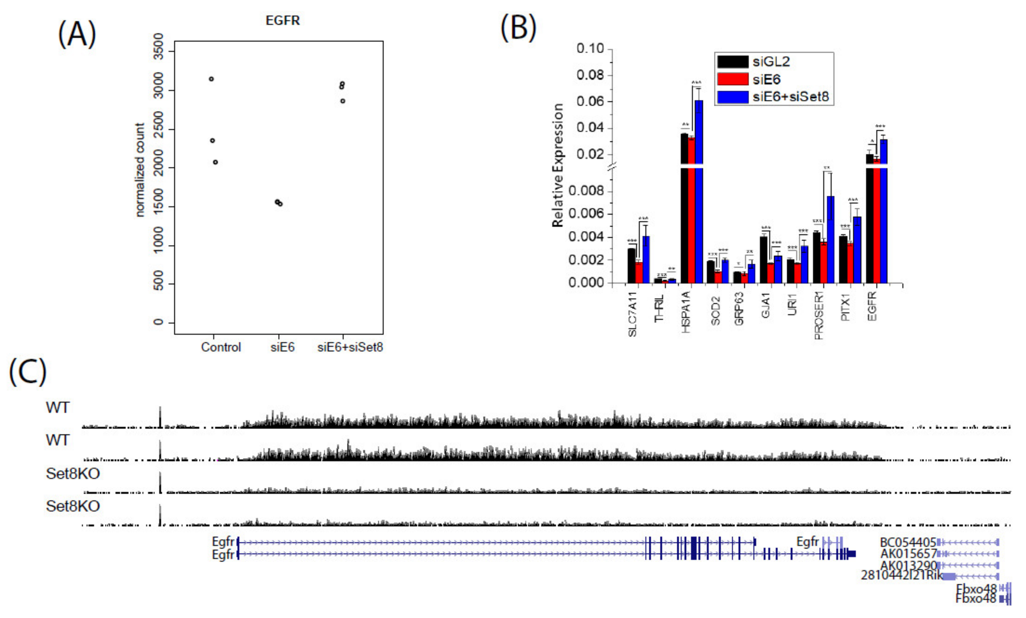 Cancers 14 00030 g003a 550