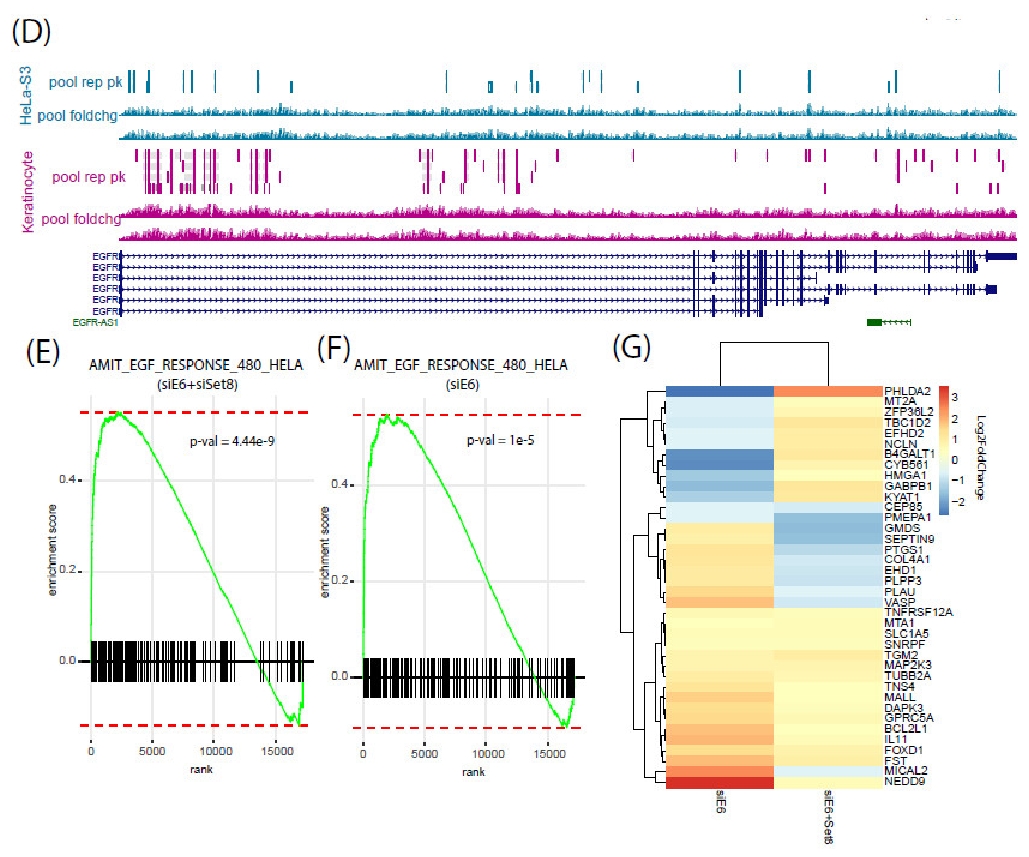 Cancers 14 00030 g003b 550