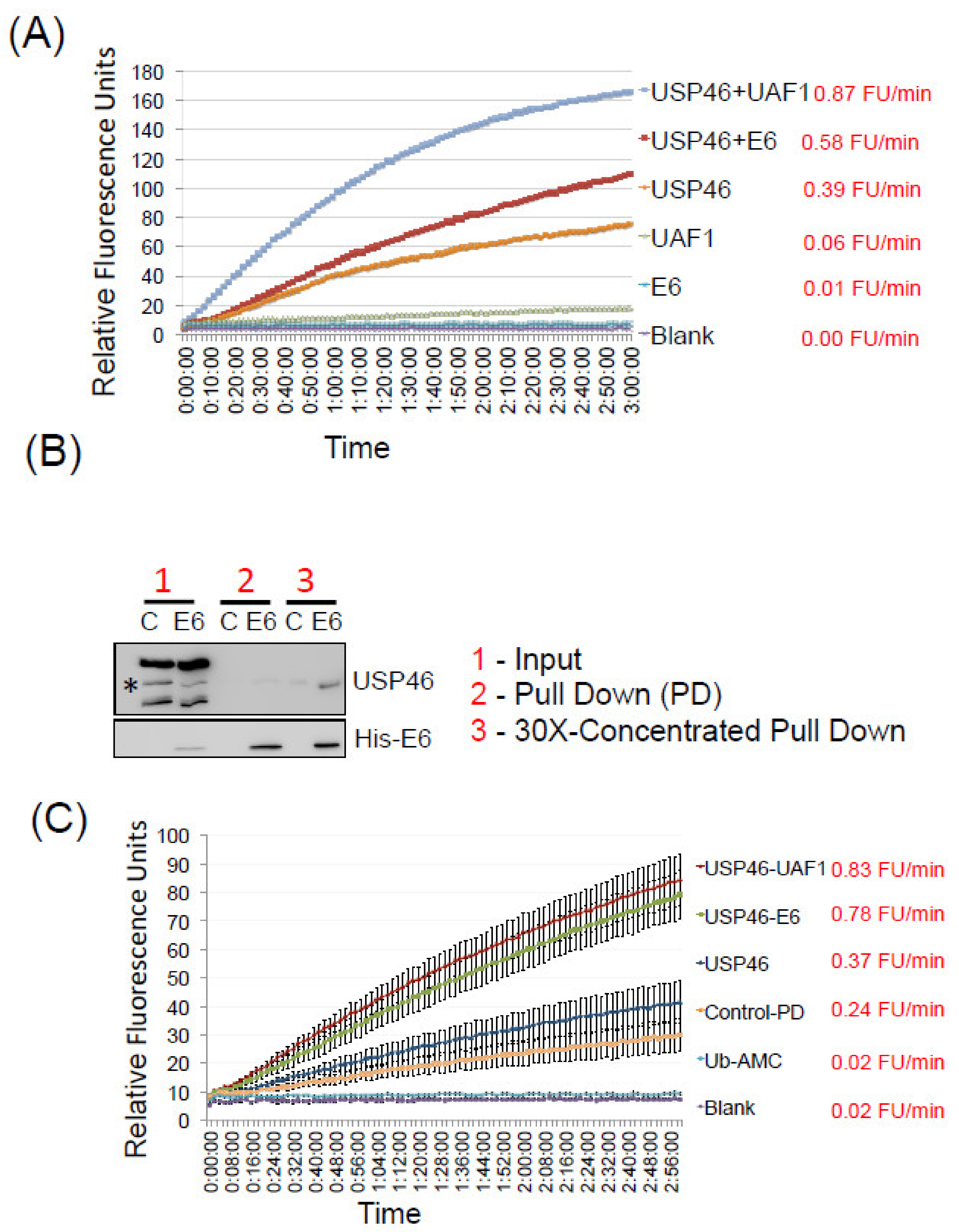 Cancers 14 00030 g004 550