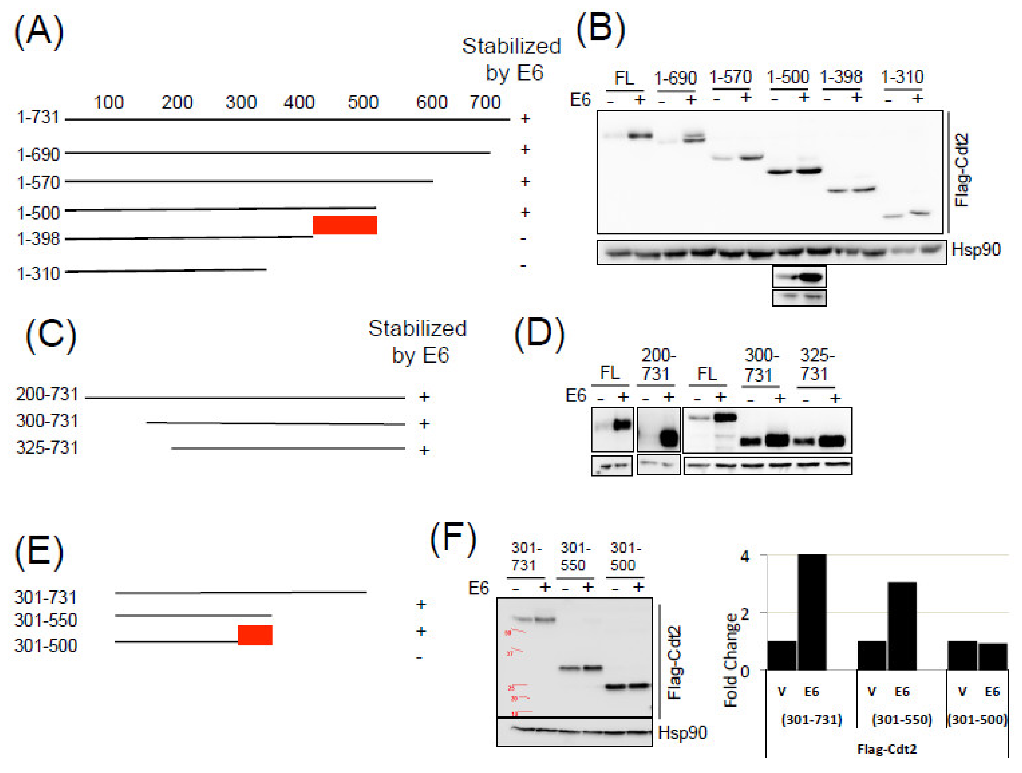 Cancers 14 00030 g005a 550
