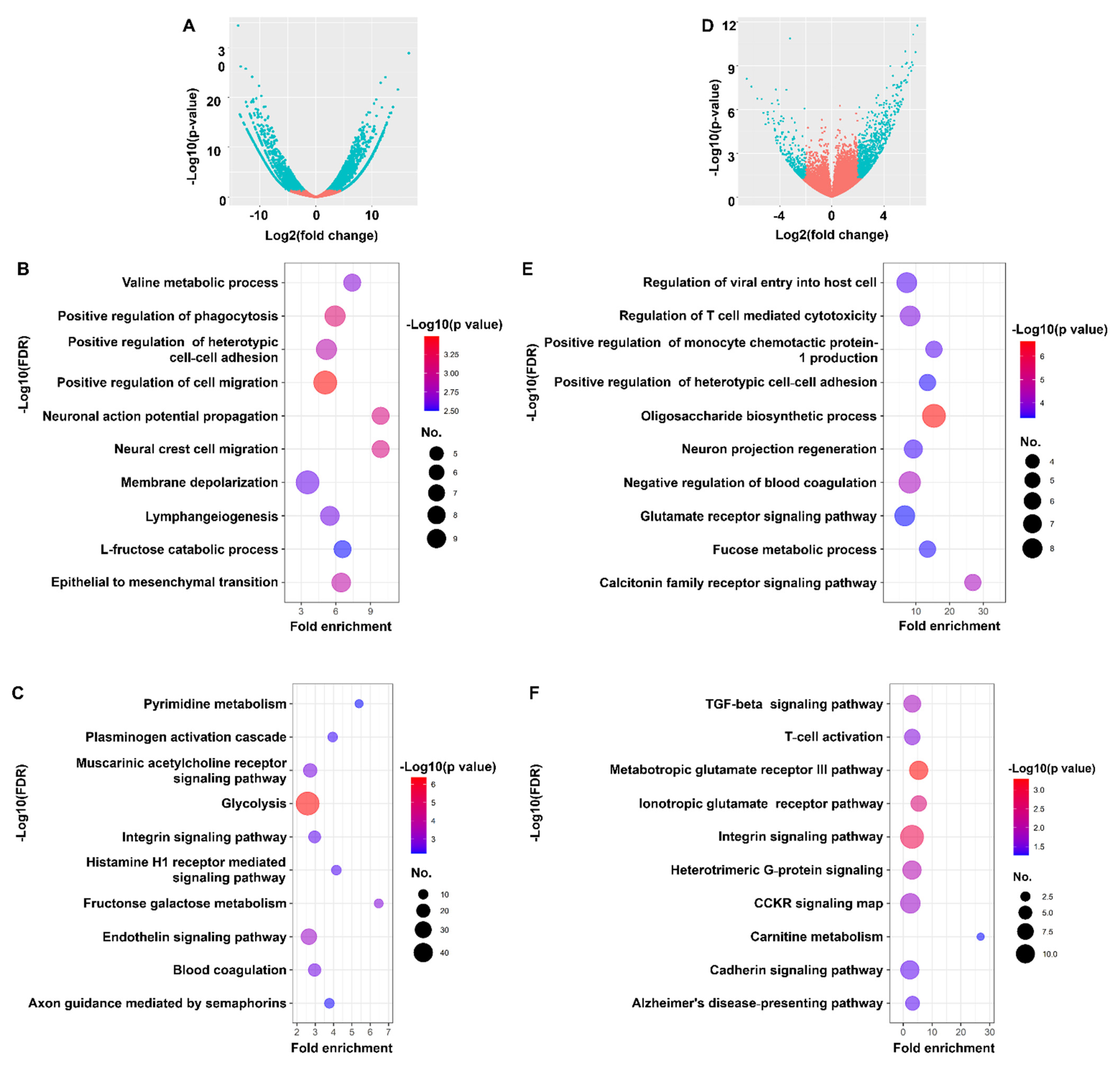 Cancers 14 00031 g002 Cancers 14 00031 g002