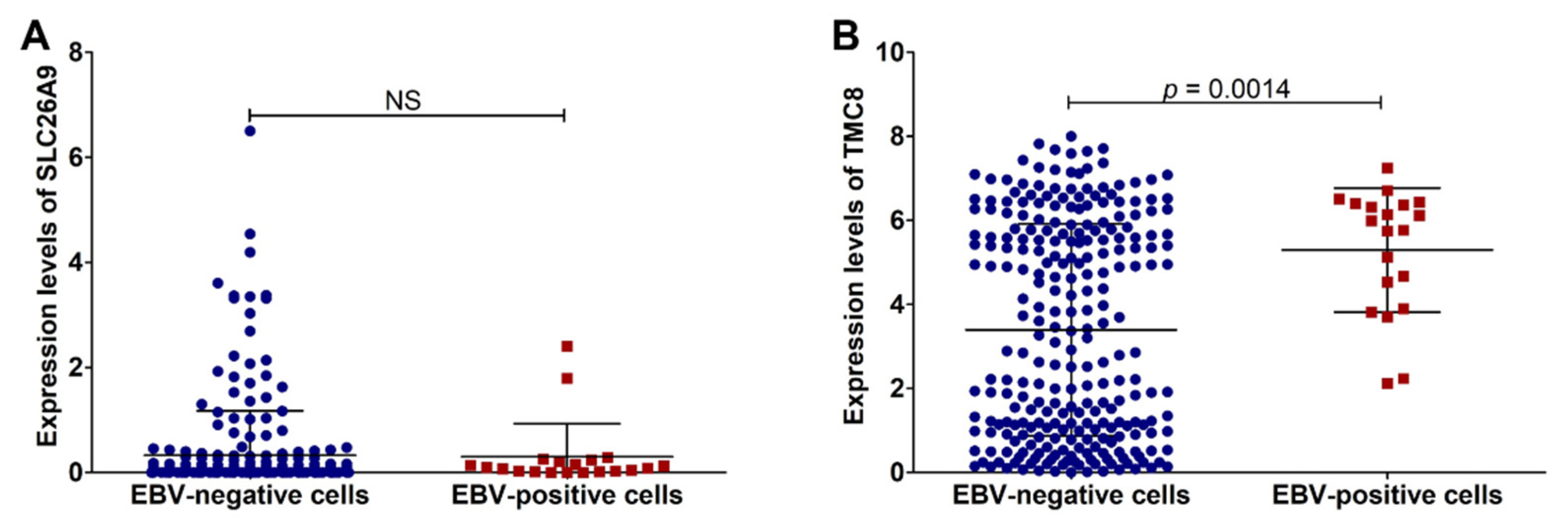Cancers 14 00031 g005 Cancers 14 00031 g005