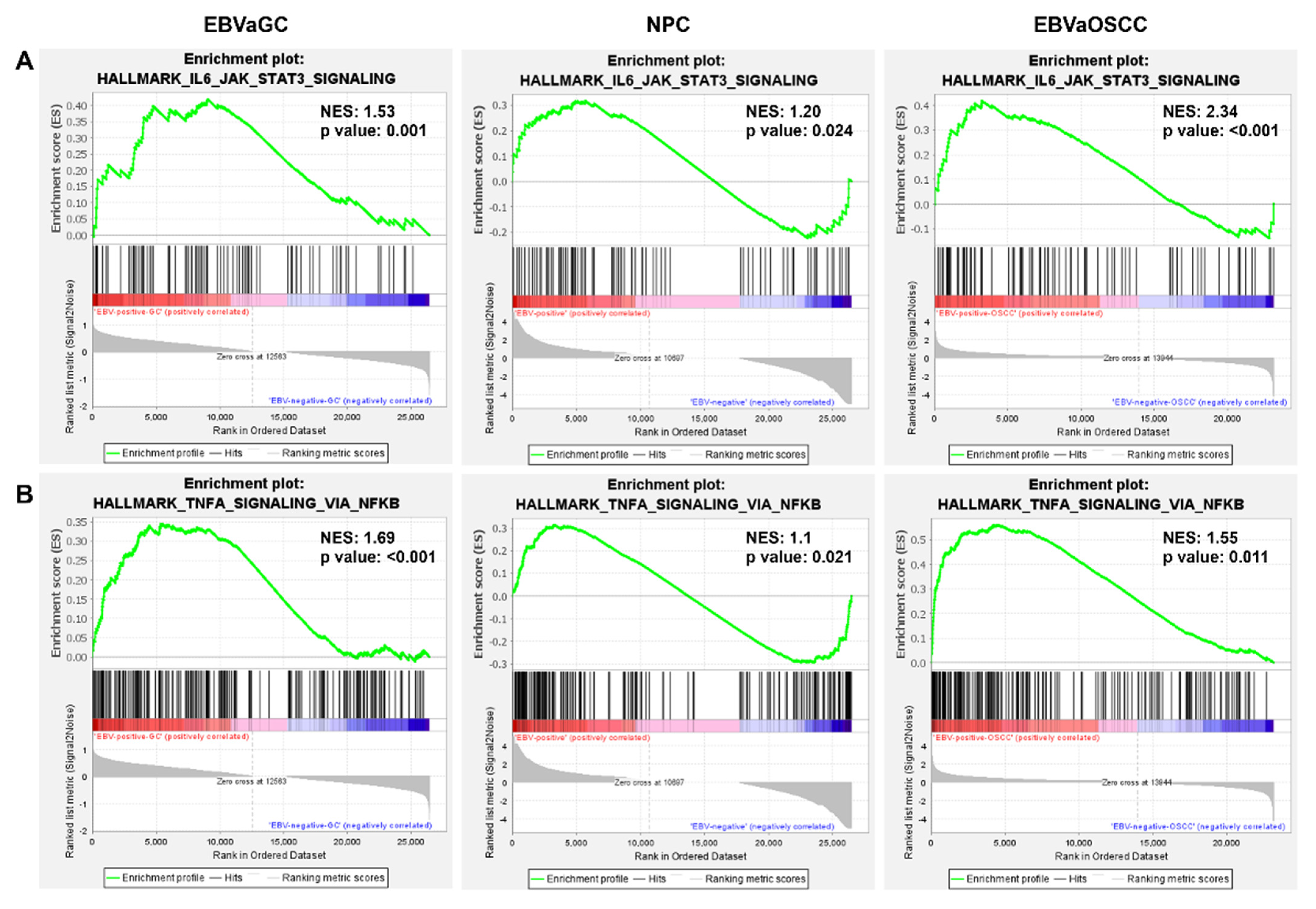 Cancers 14 00031 g006 Cancers 14 00031 g006