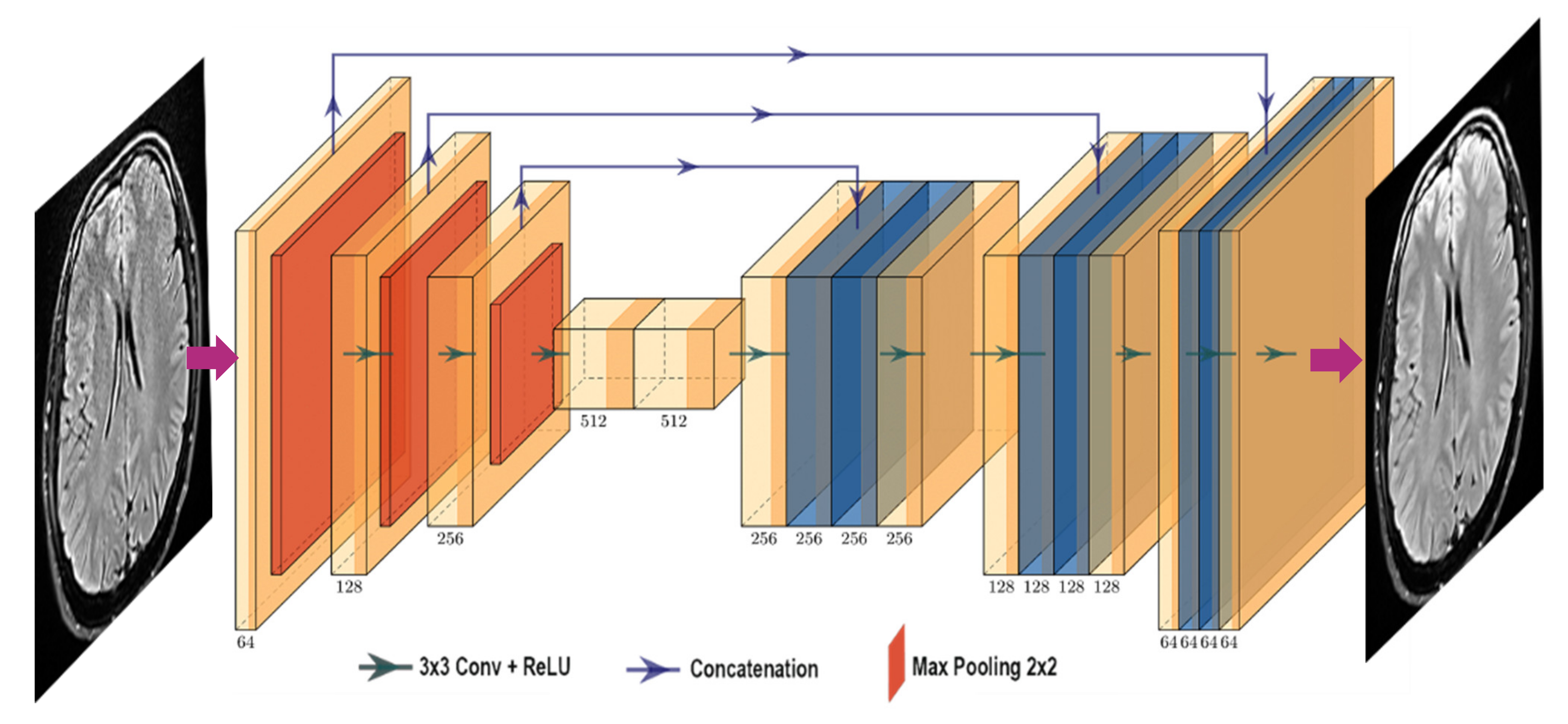 Cancers 14 00036 g001 550