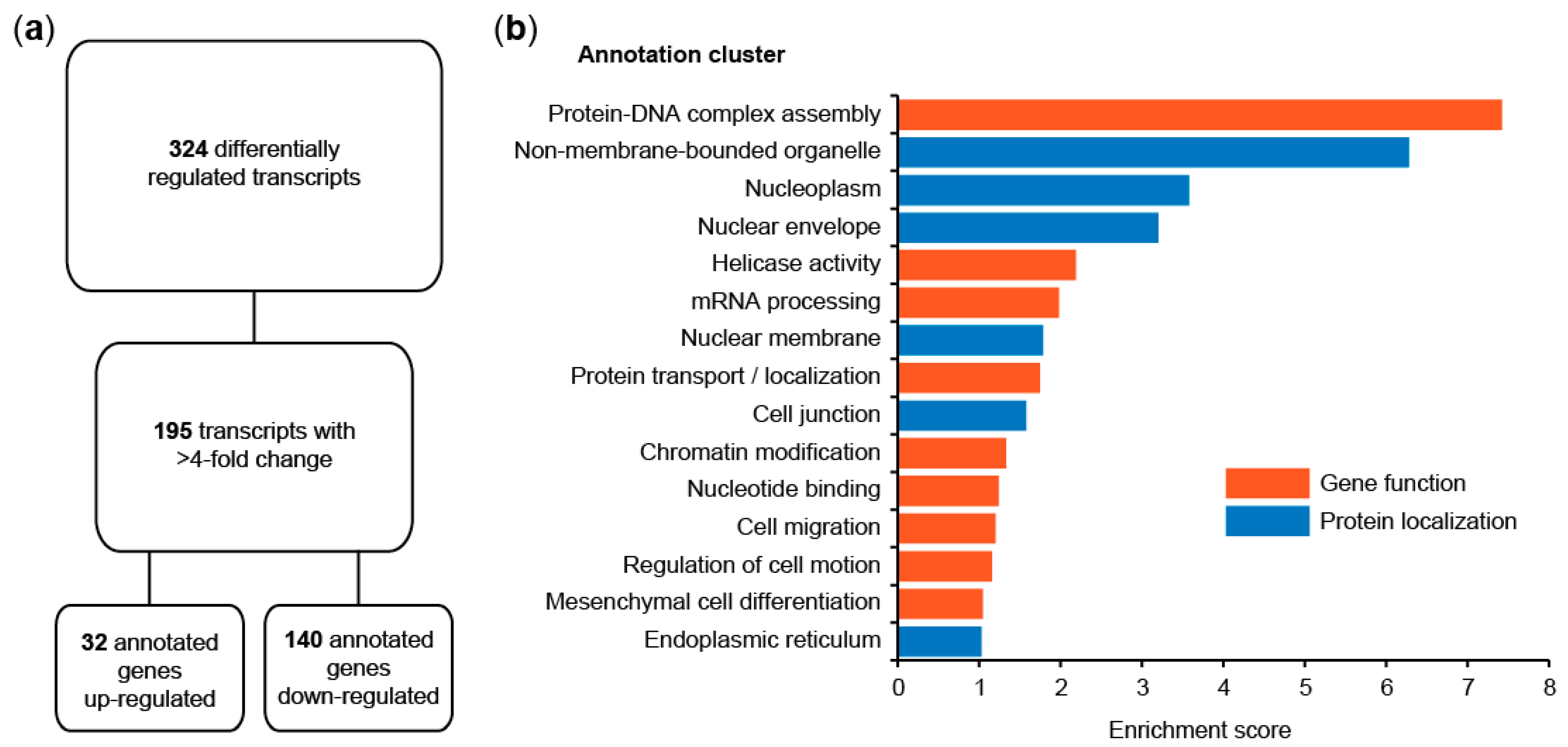 Cancers 14 00037 g001 Cancers 14 00037 g001
