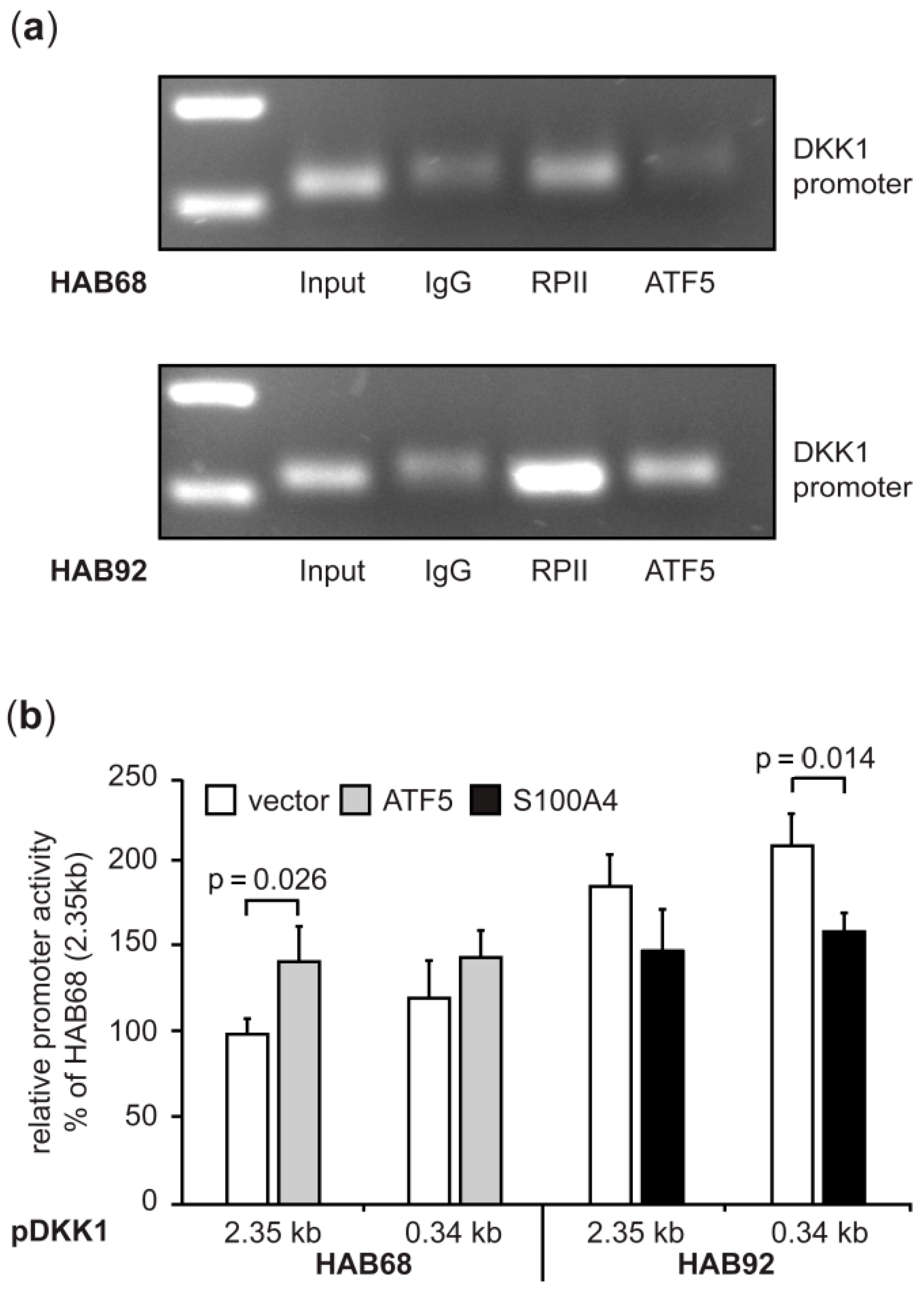 Cancers 14 00037 g004 Cancers 14 00037 g004