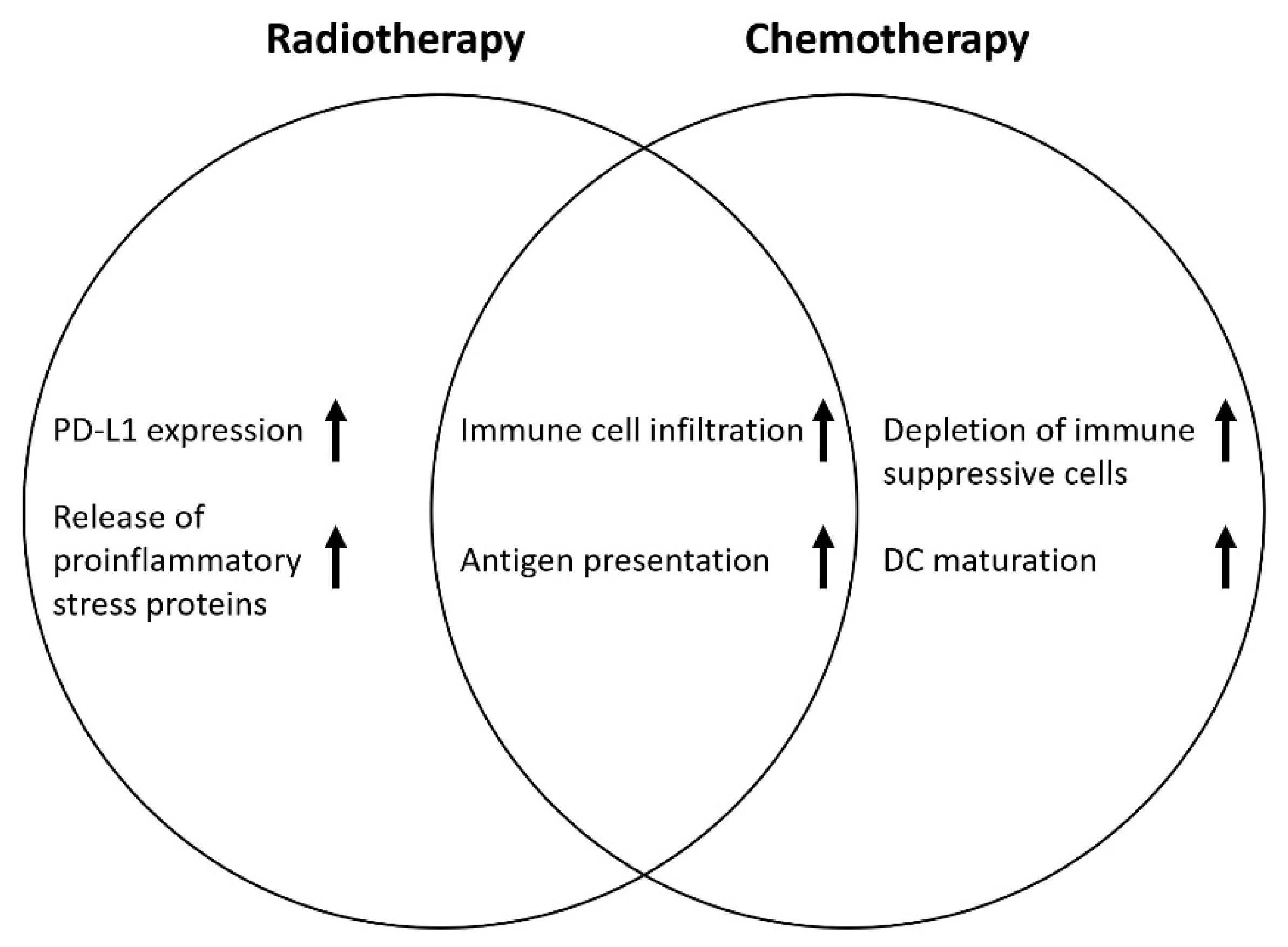 Cancers 14 00038 g001