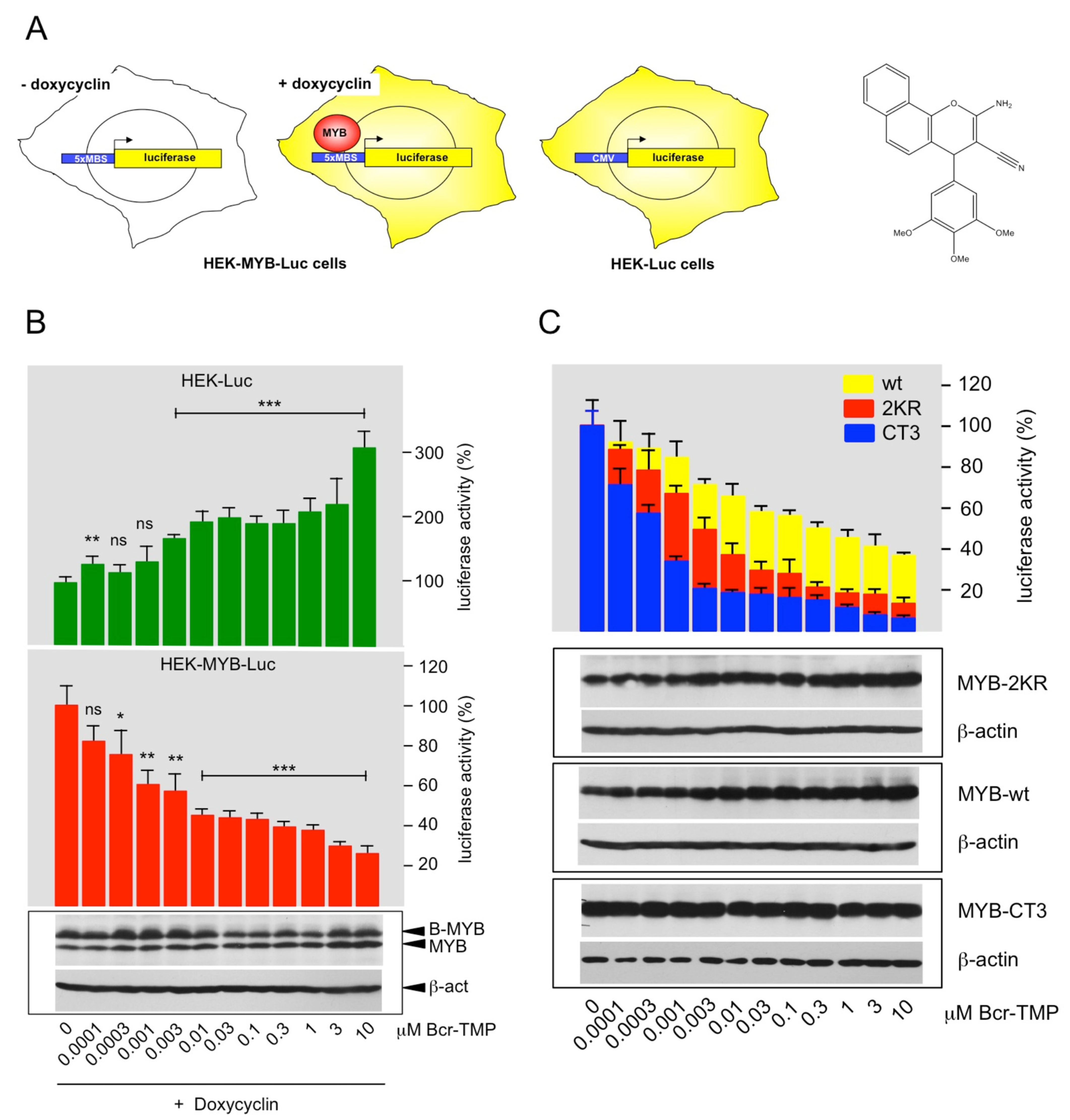Cancers 14 00043 g001 Cancers 14 00043 g001