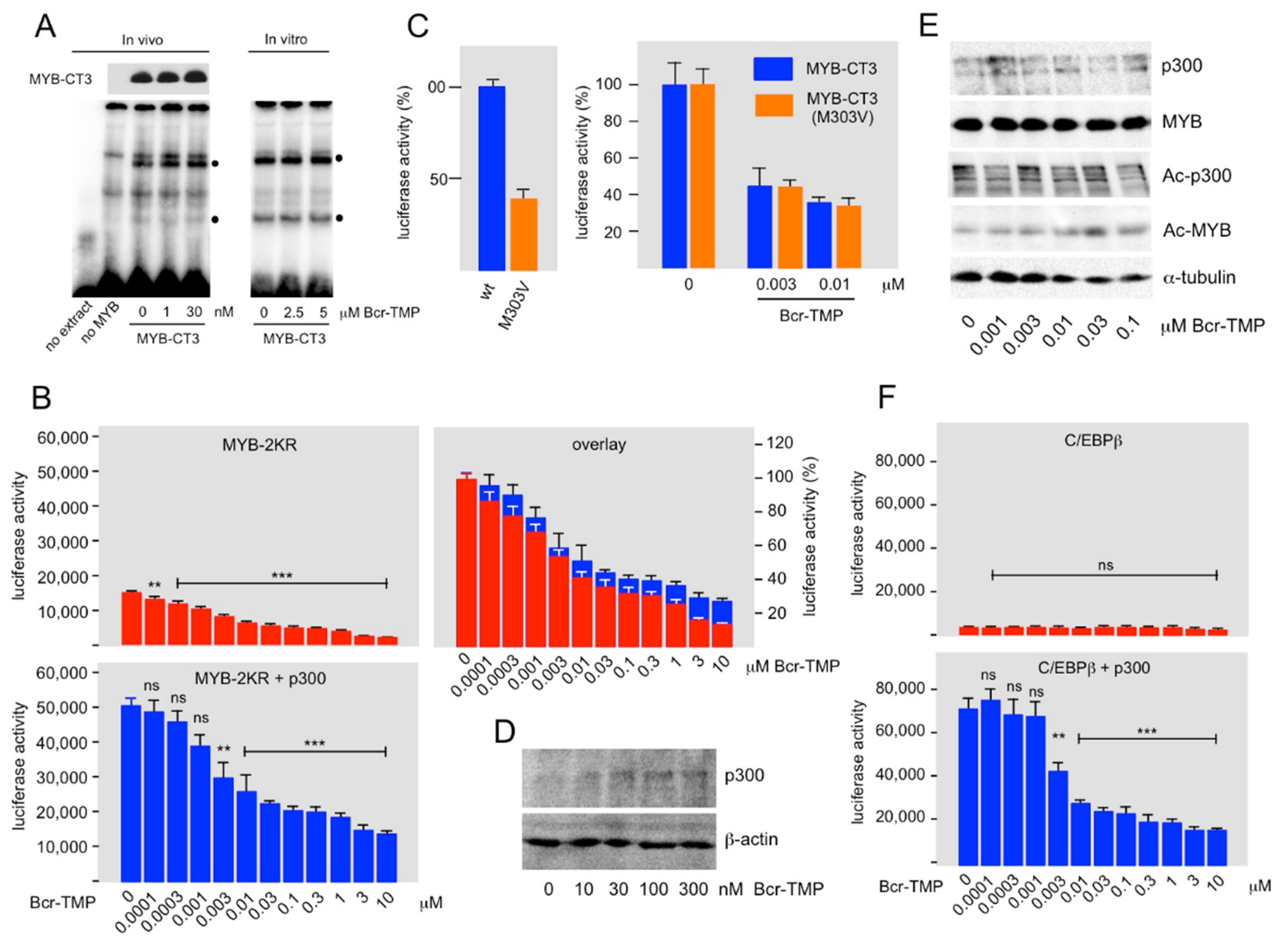 Cancers 14 00043 g002 Cancers 14 00043 g002