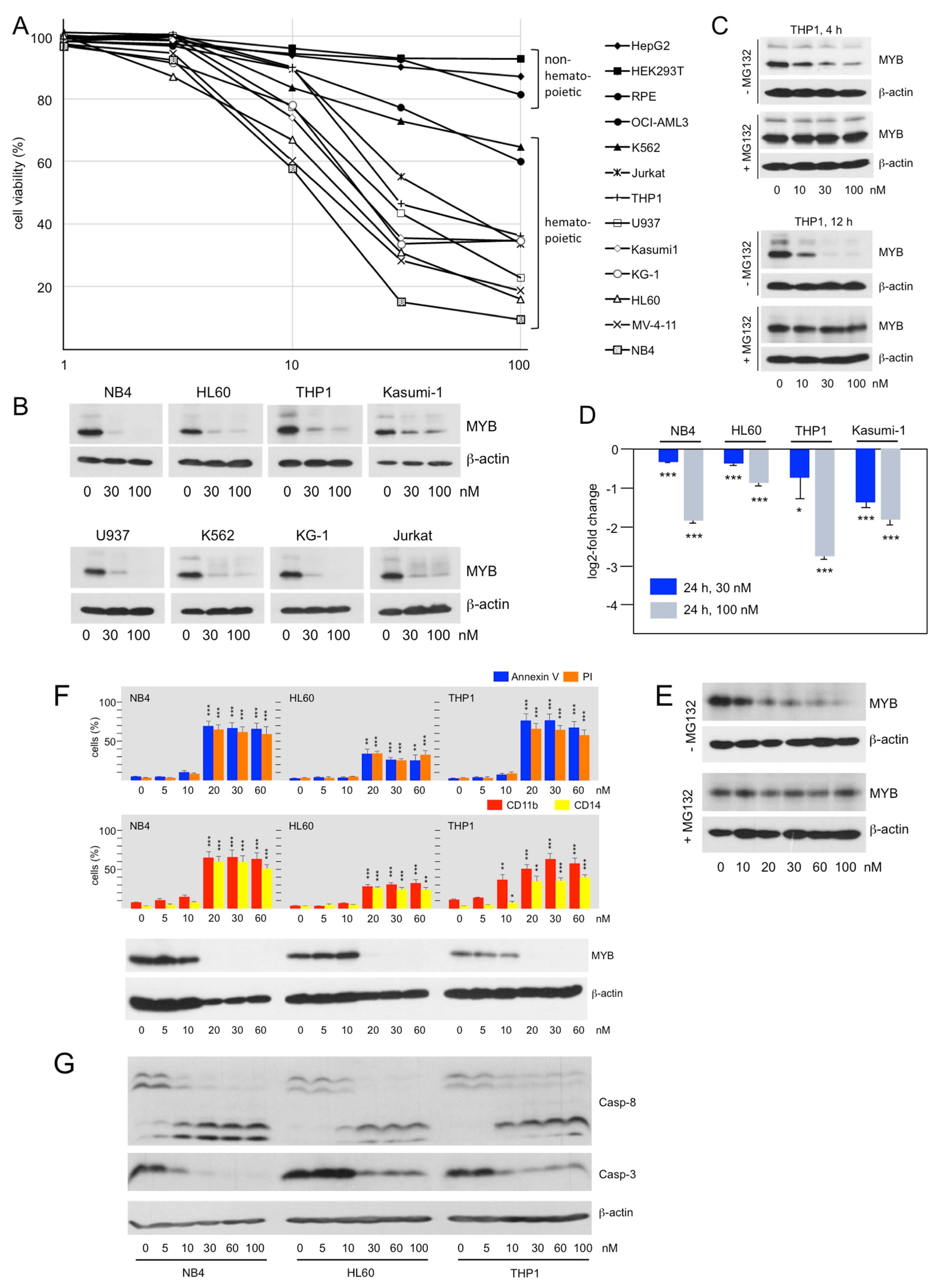 Cancers 14 00043 g003 Cancers 14 00043 g003