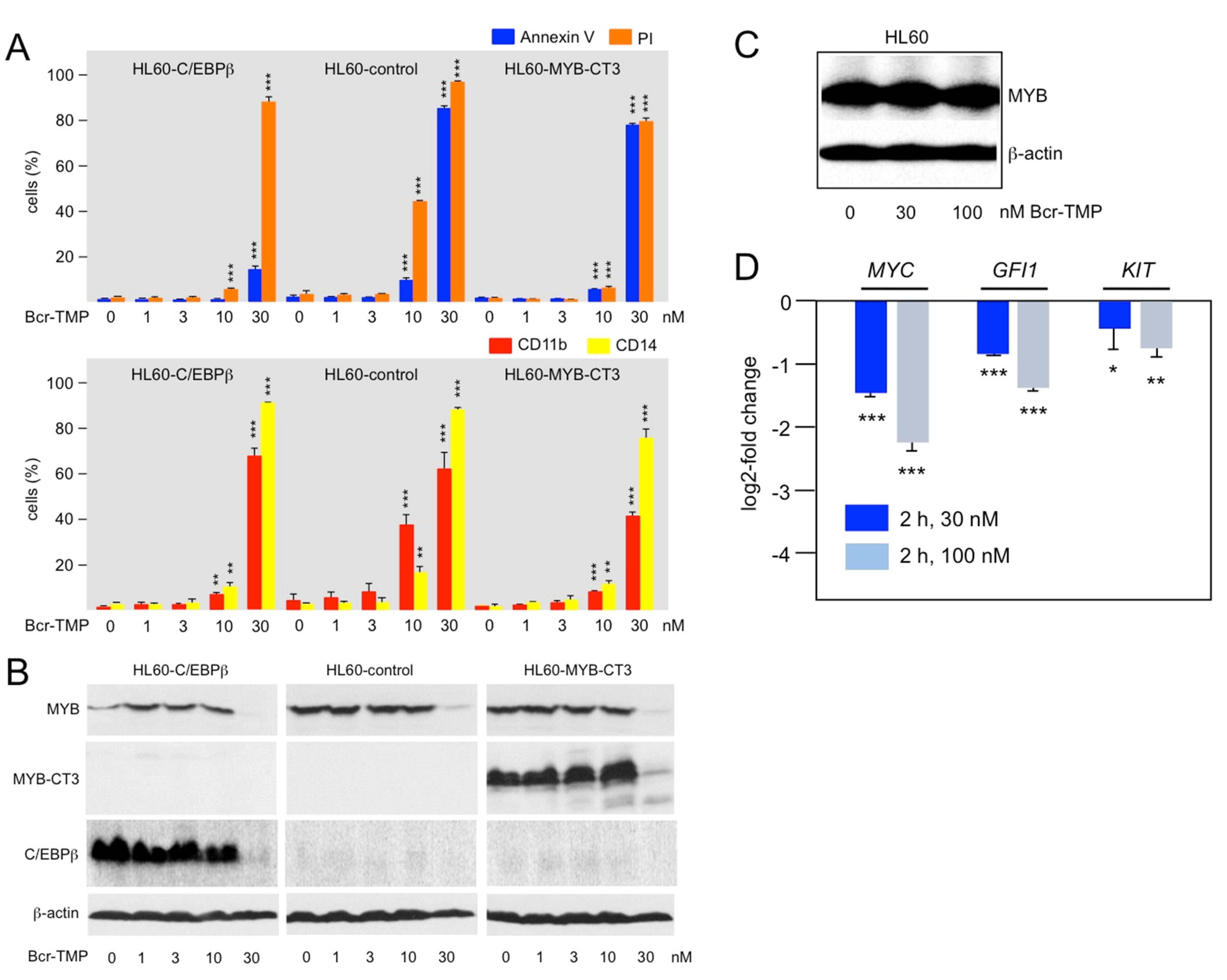 Cancers 14 00043 g004 Cancers 14 00043 g004