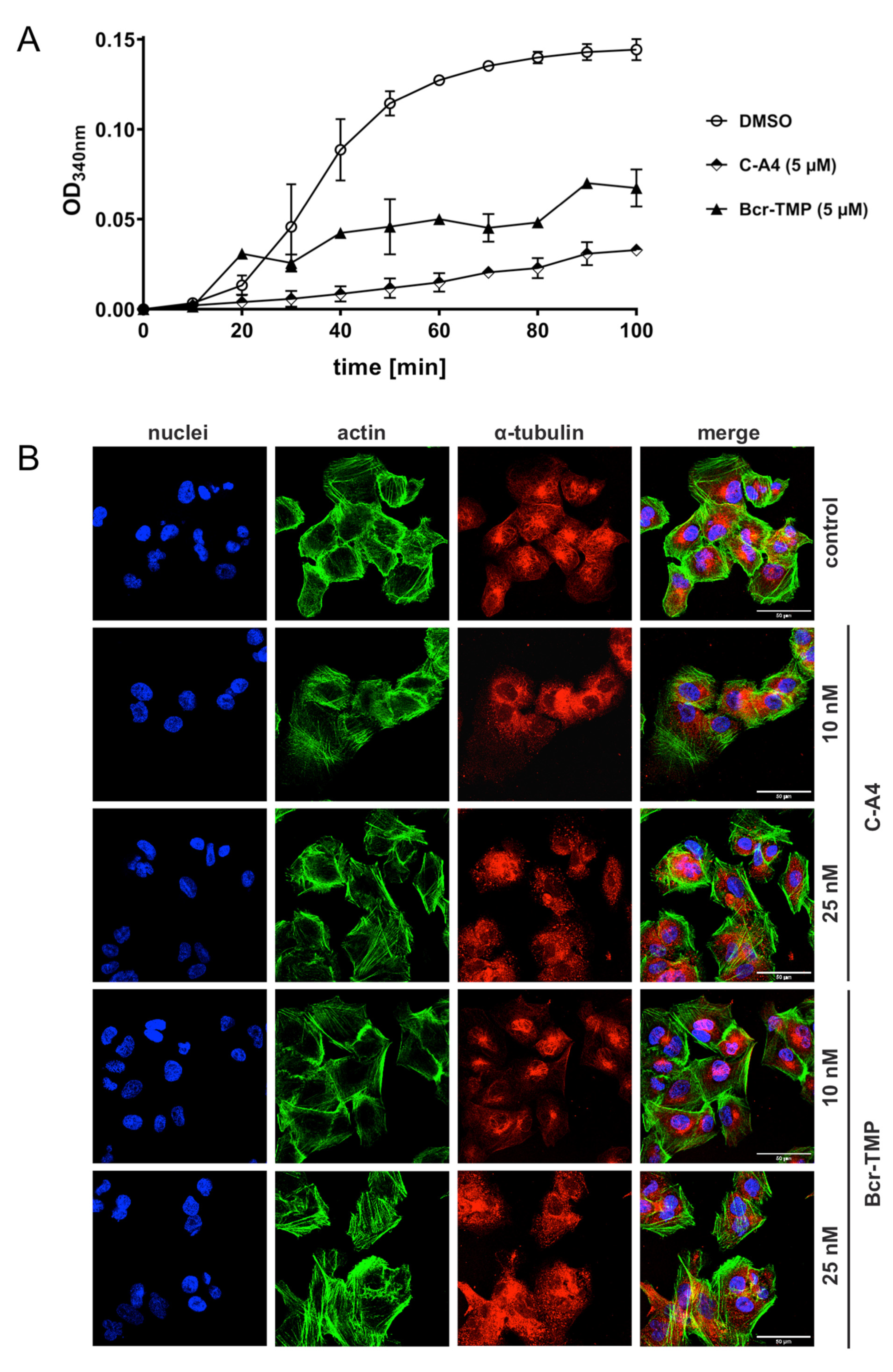 Cancers 14 00043 g007 Cancers 14 00043 g007