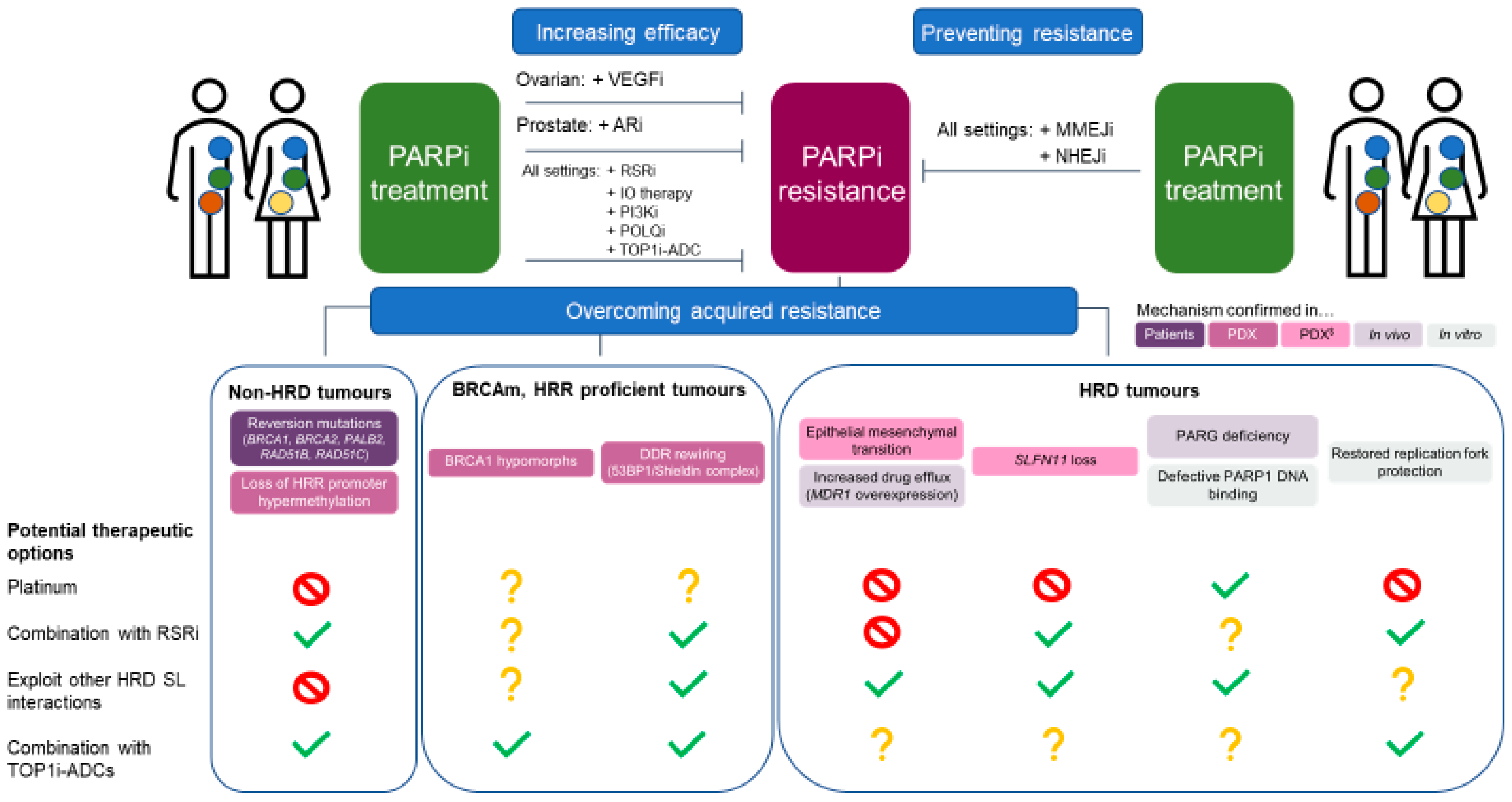 Cancers 14 00044 g005