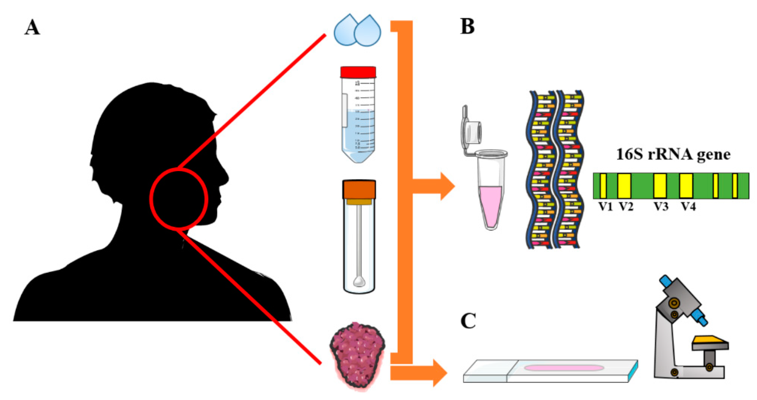 Cancers 14 00046 g002