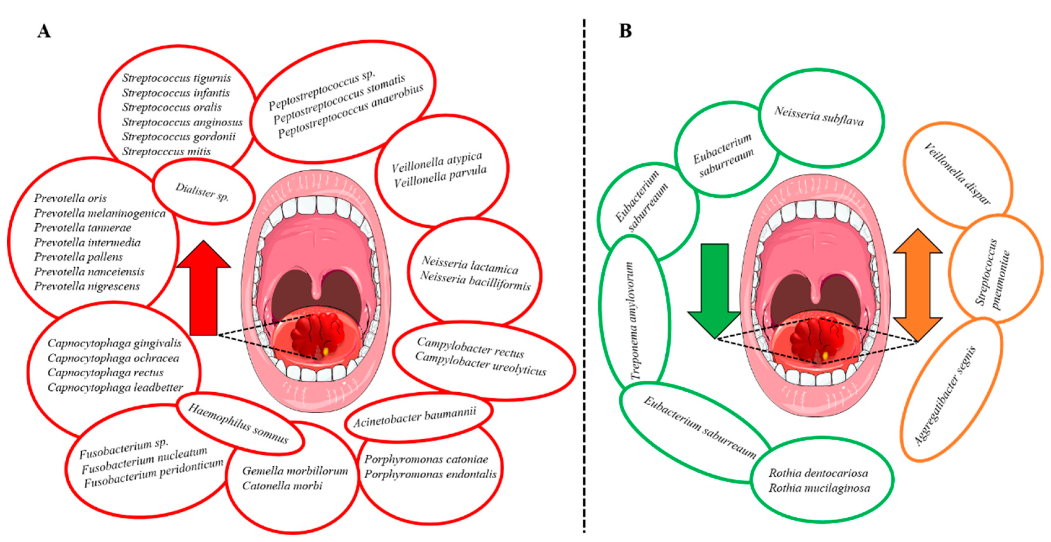 Cancers 14 00046 g003
