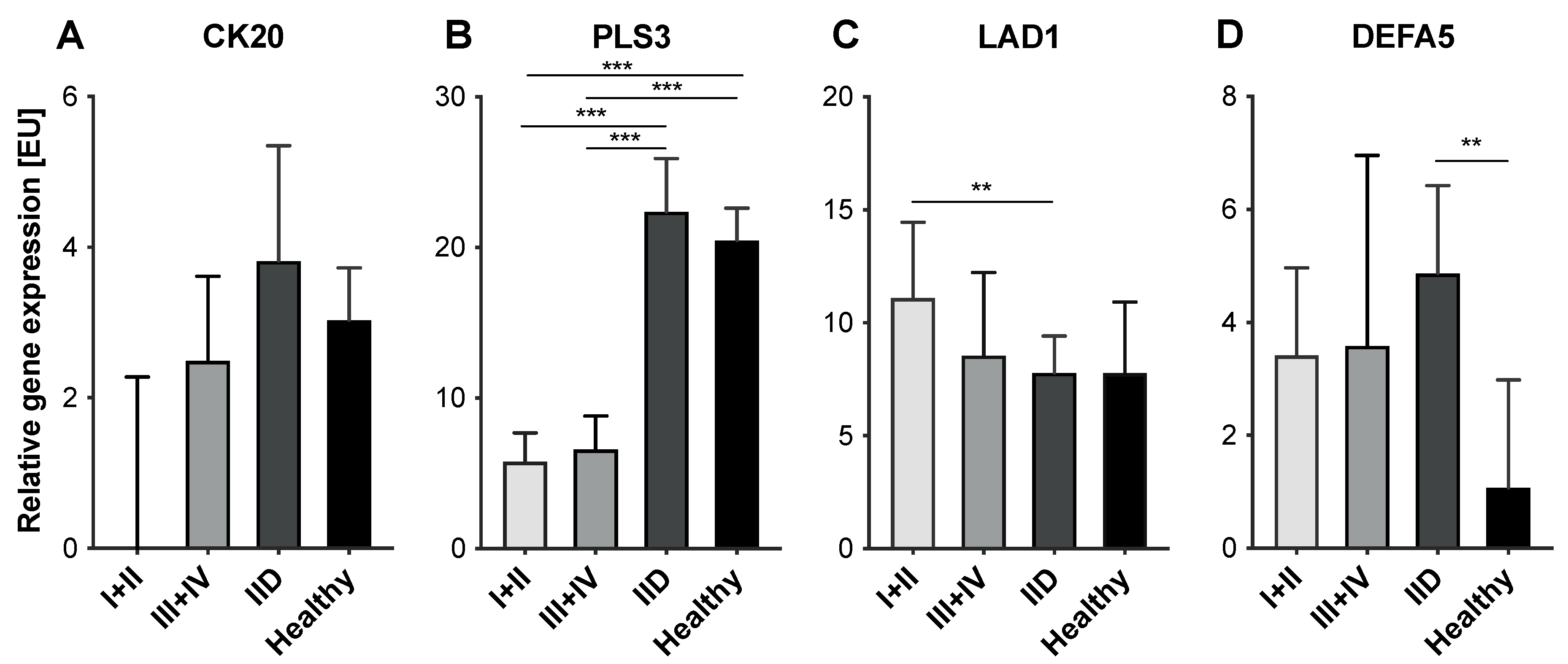Cancers 14 00047 g003