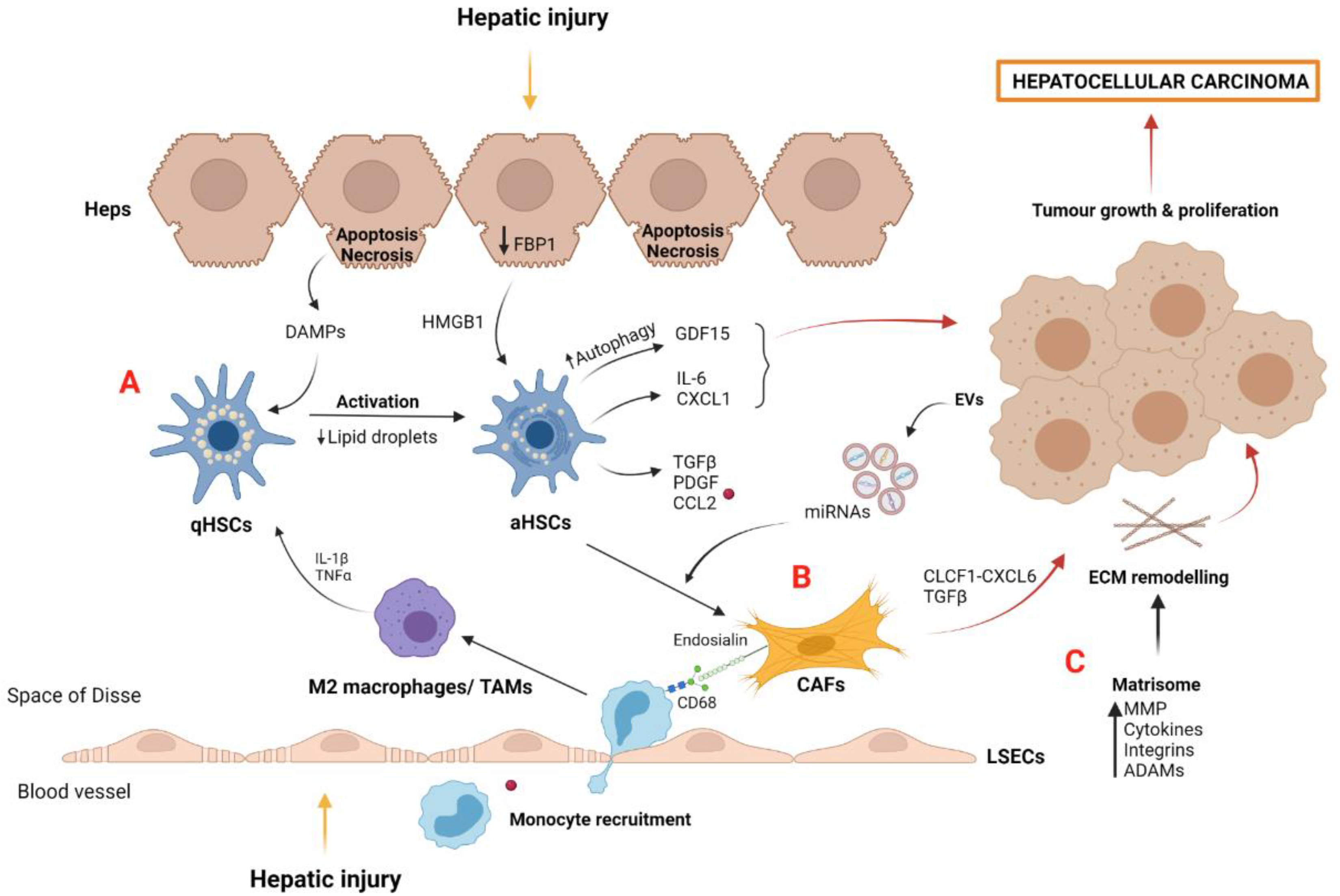 Cancers 14 00048 g003 550