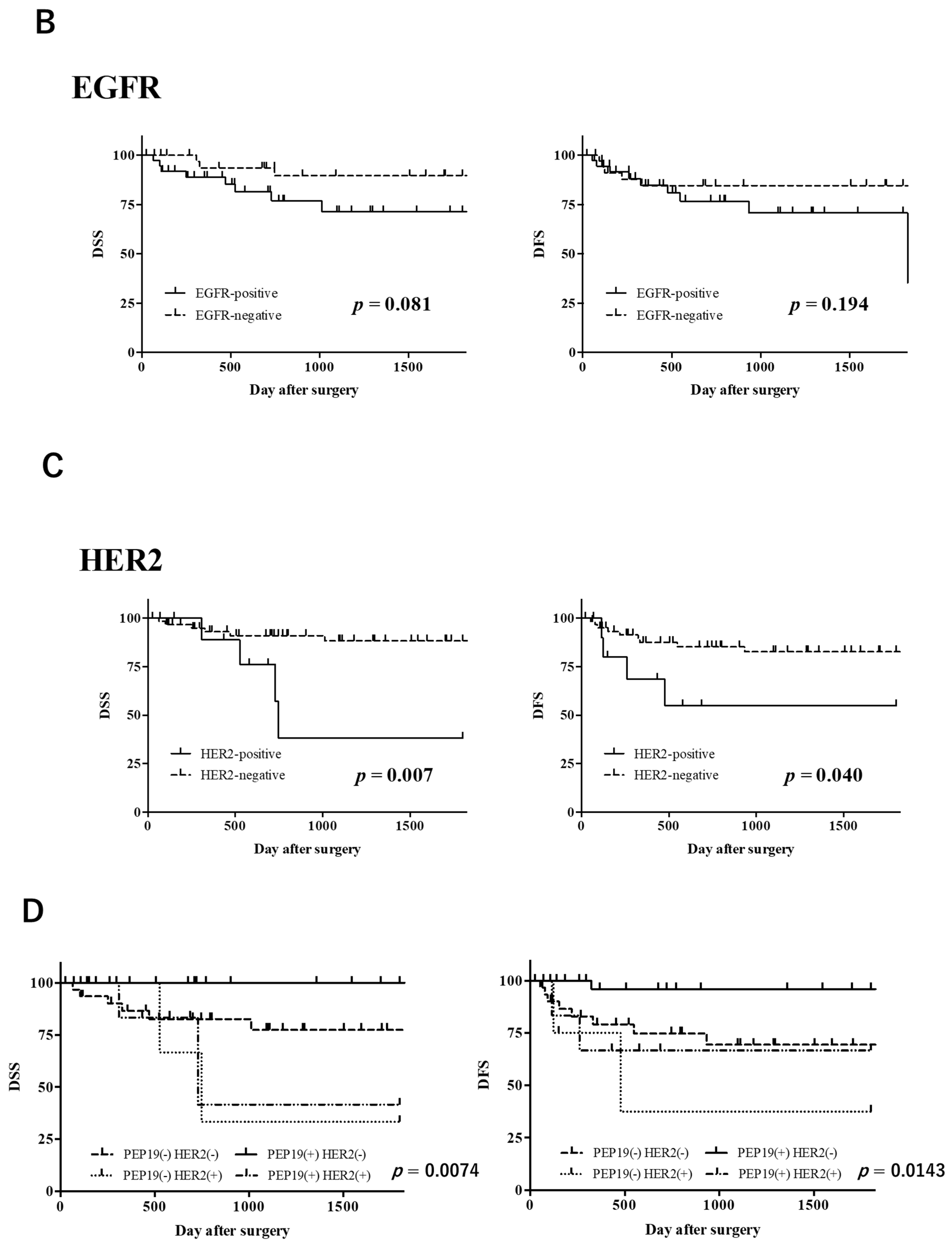 Cancers 14 00054 g002b Cancers 14 00054 g002b