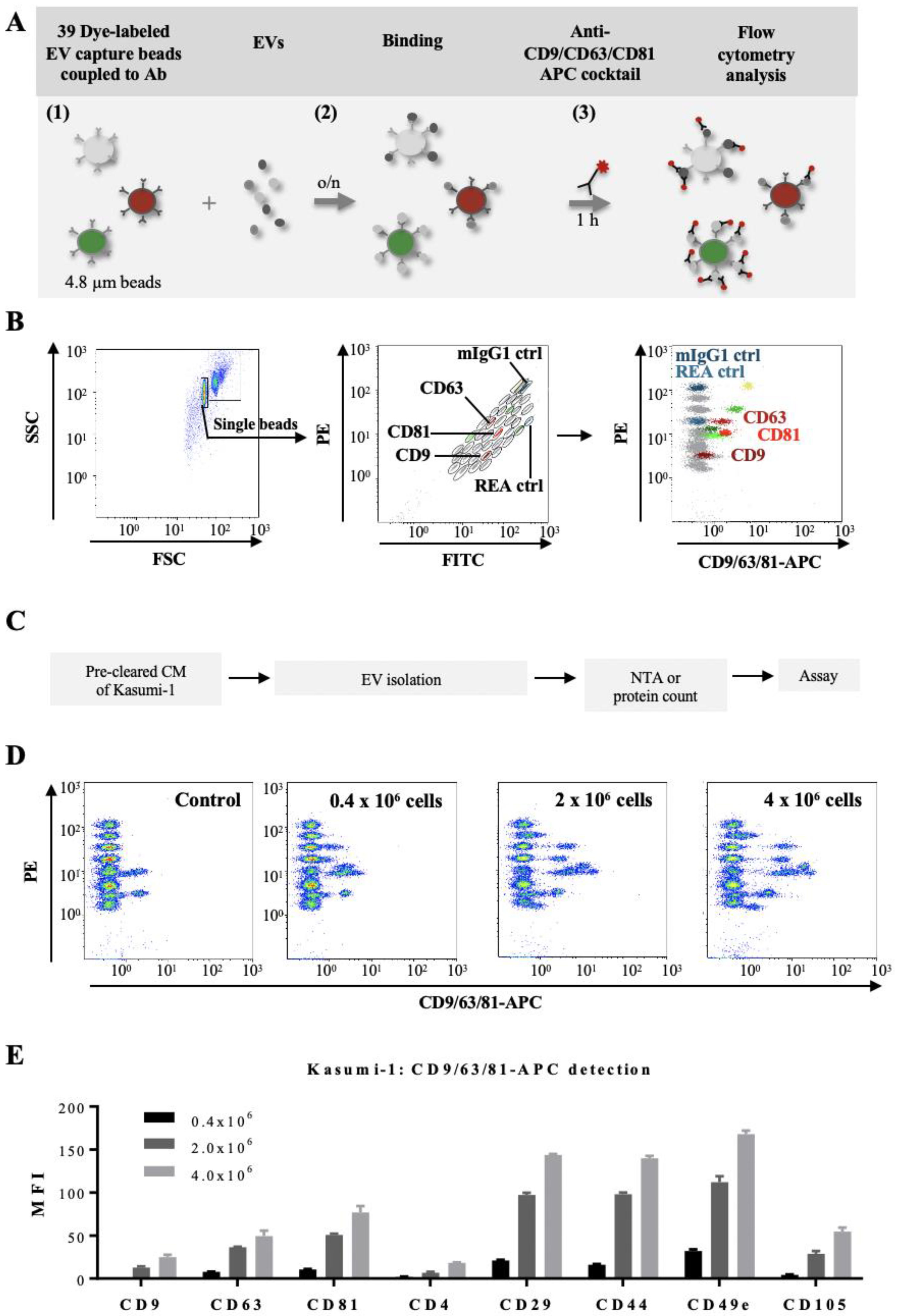 Cancers 14 00056 g003