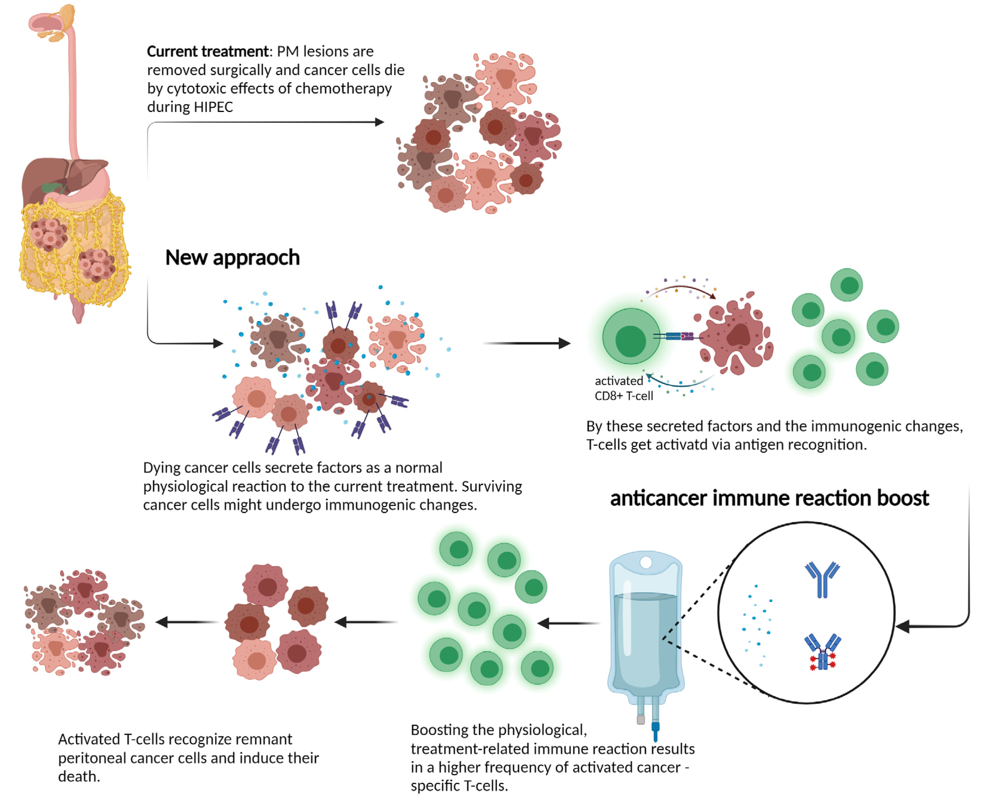 Cancers 14 00060 g001 550
