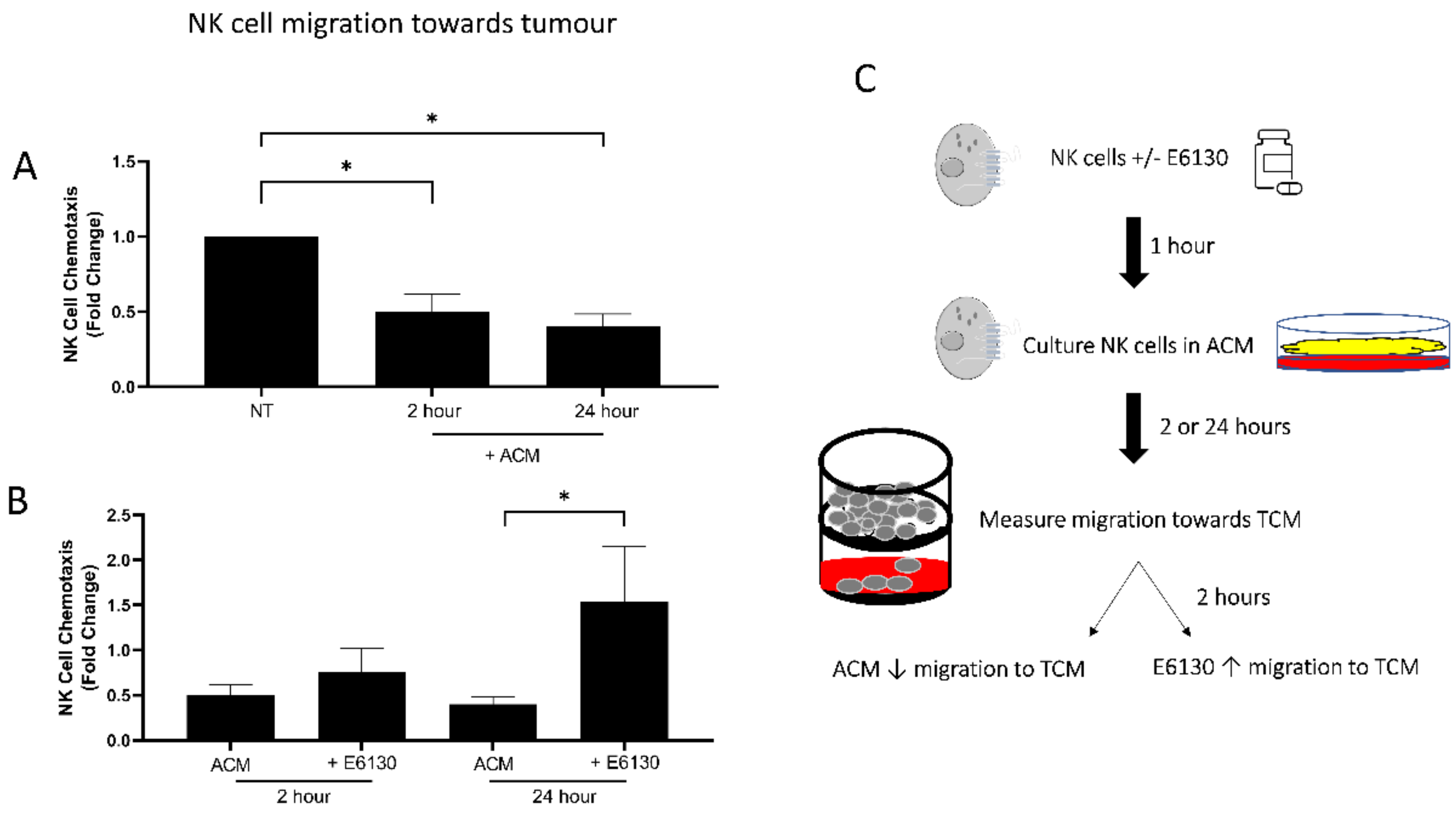 Cancers 14 00064 g002