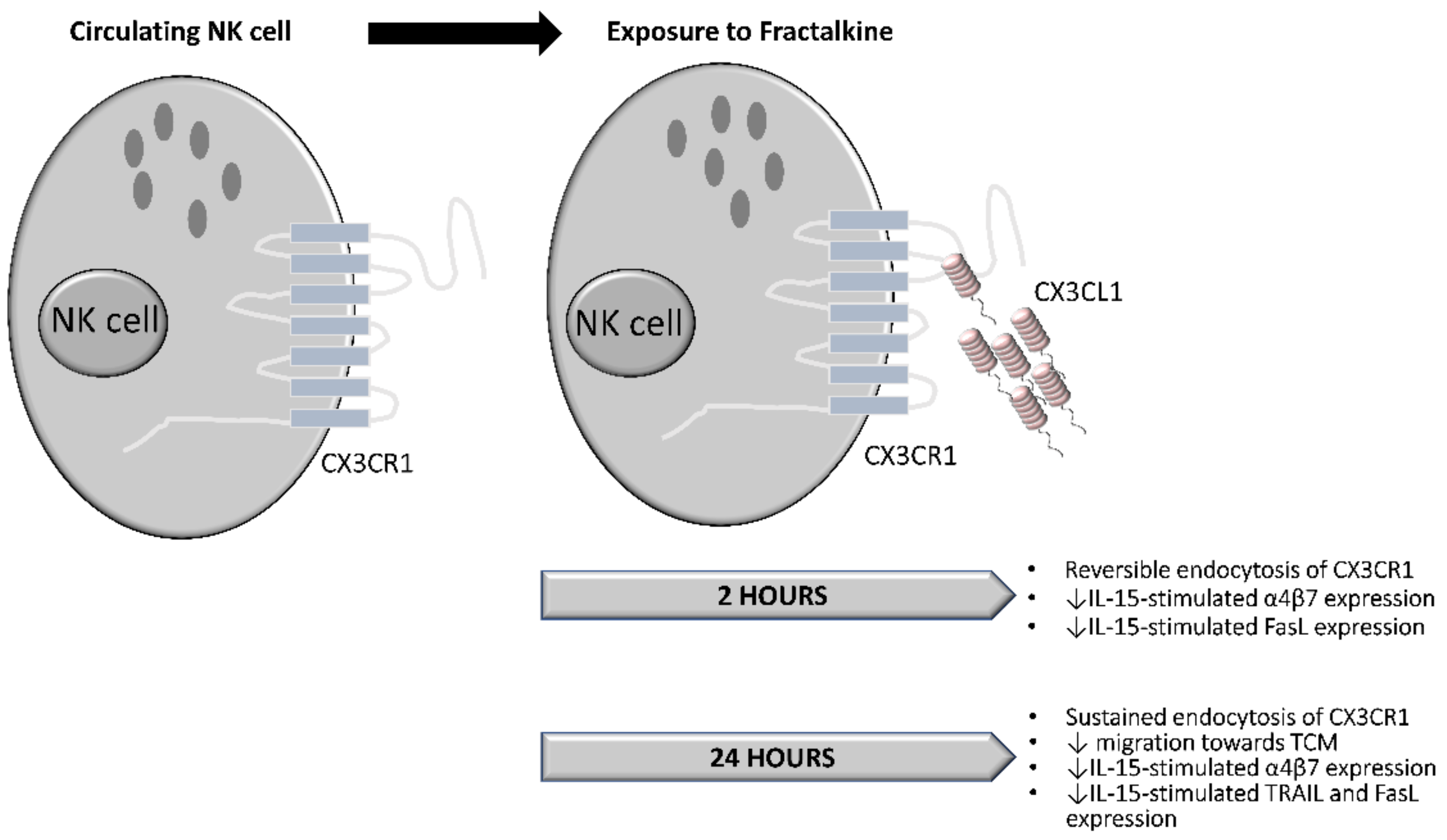 Cancers 14 00064 g007