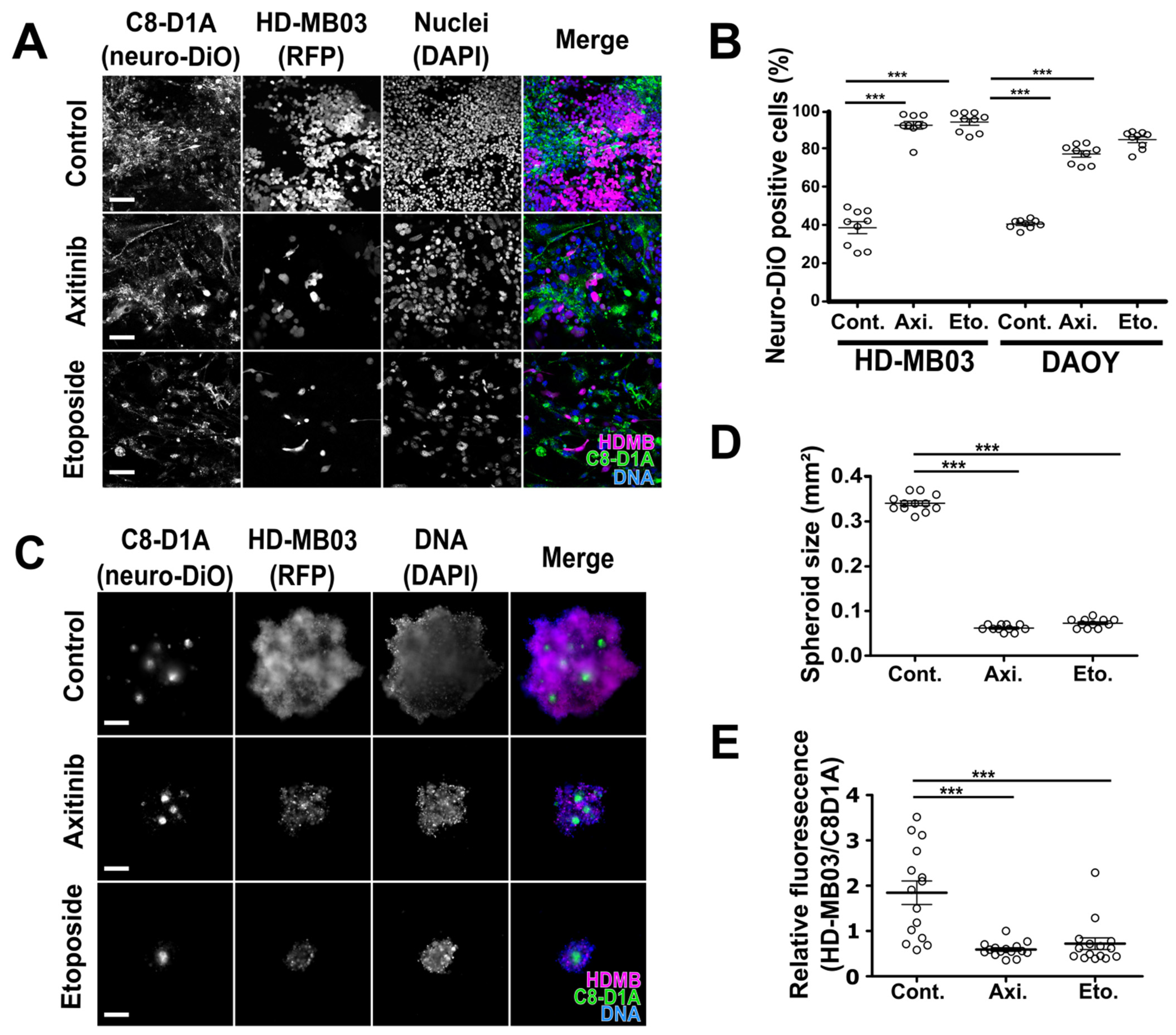 Cancers 14 00070 g002